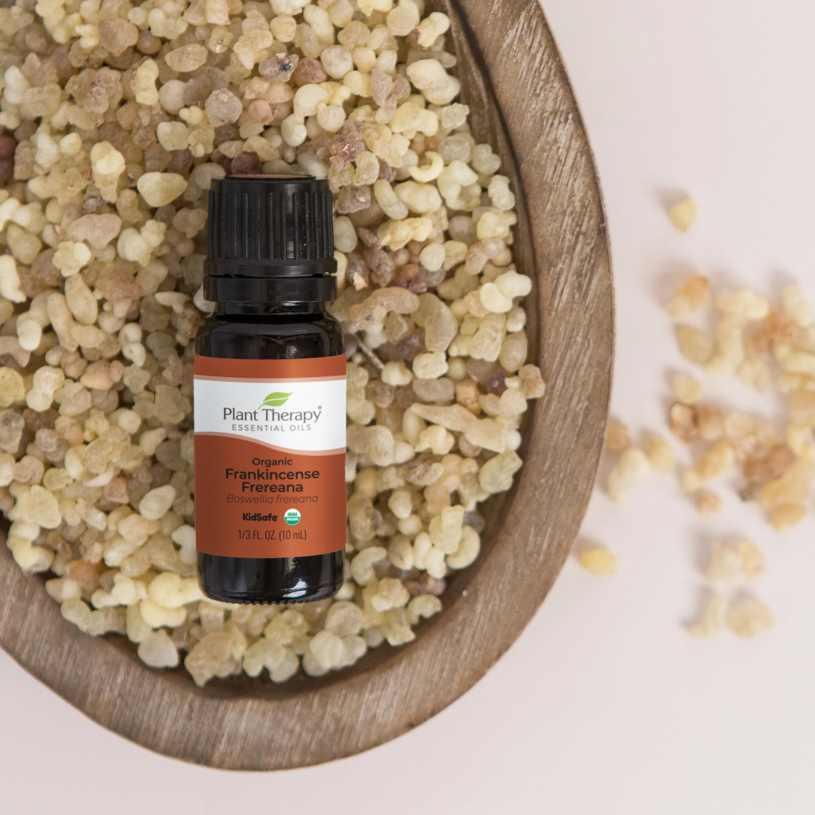 Organic Frankincense Frereana Essential Oil - Image 2