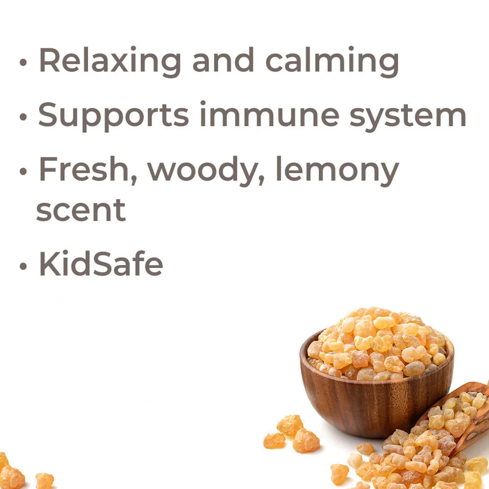 Organic Frankincense Frereana Essential Oil - Image 3