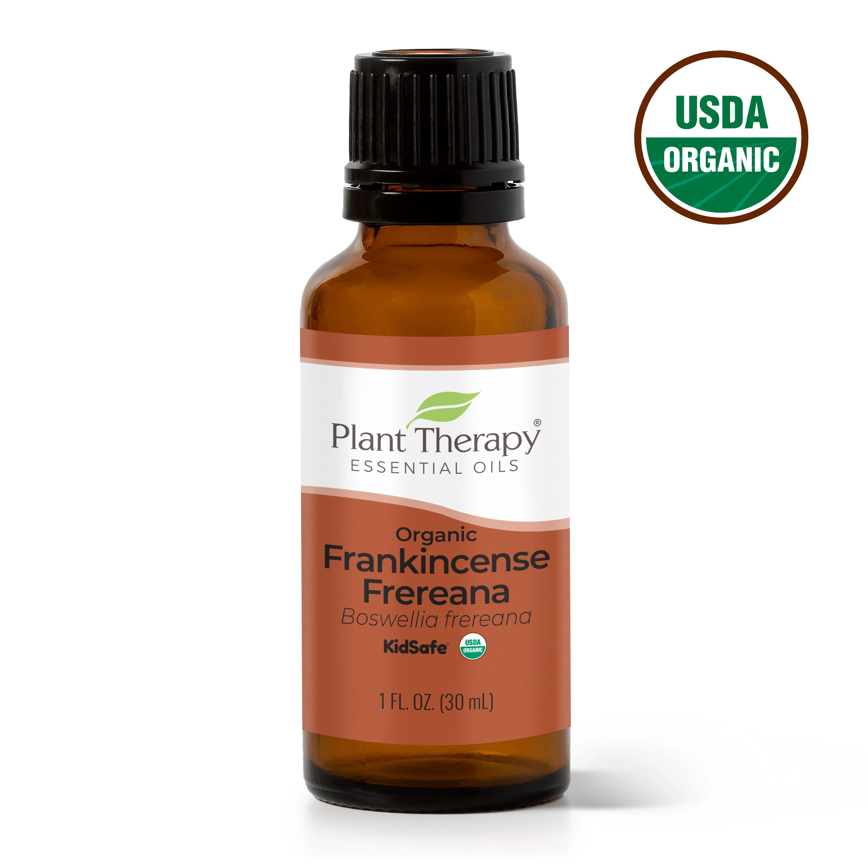 Organic Frankincense Frereana Essential Oil - Image 4