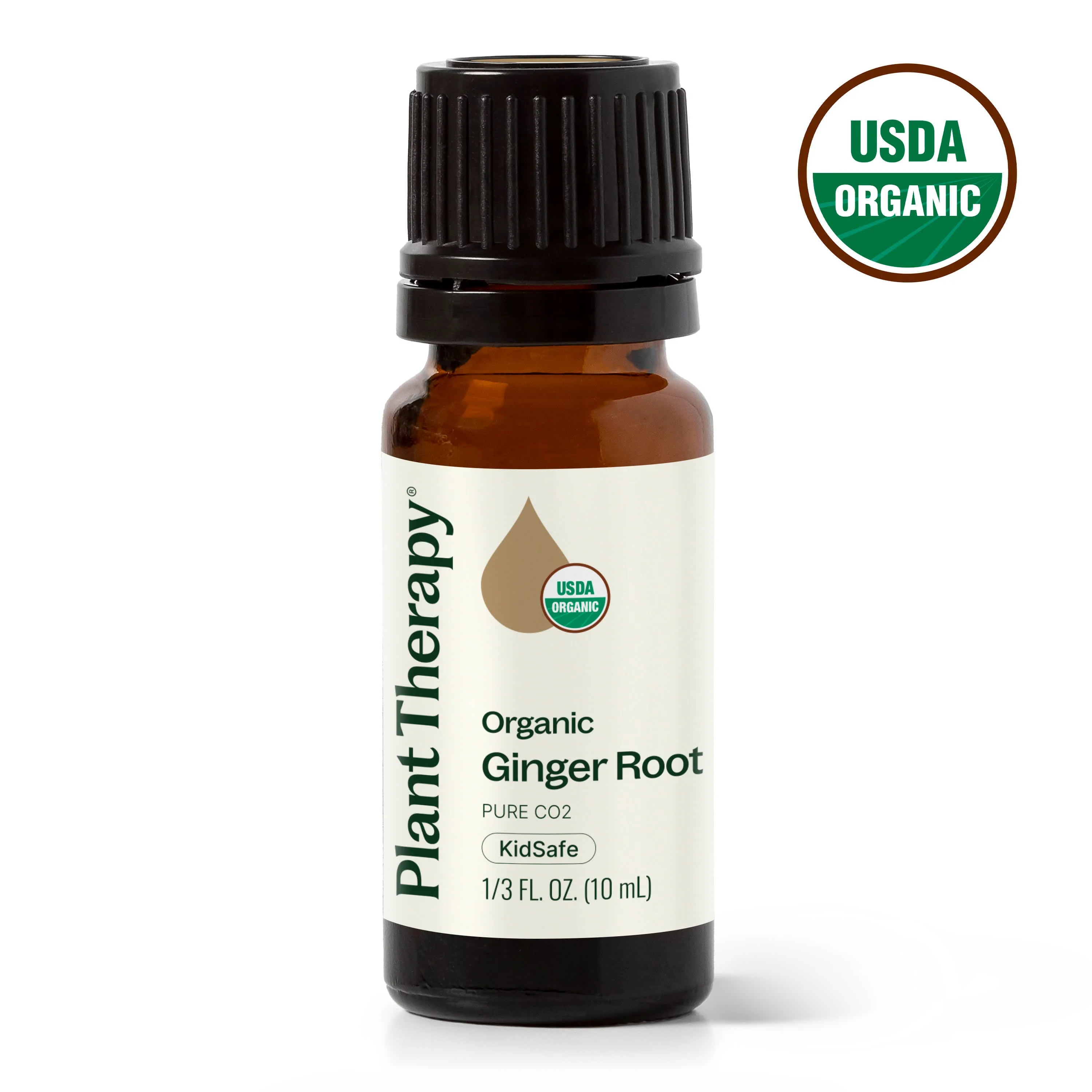 Organic Ginger Root CO2 - Image 2