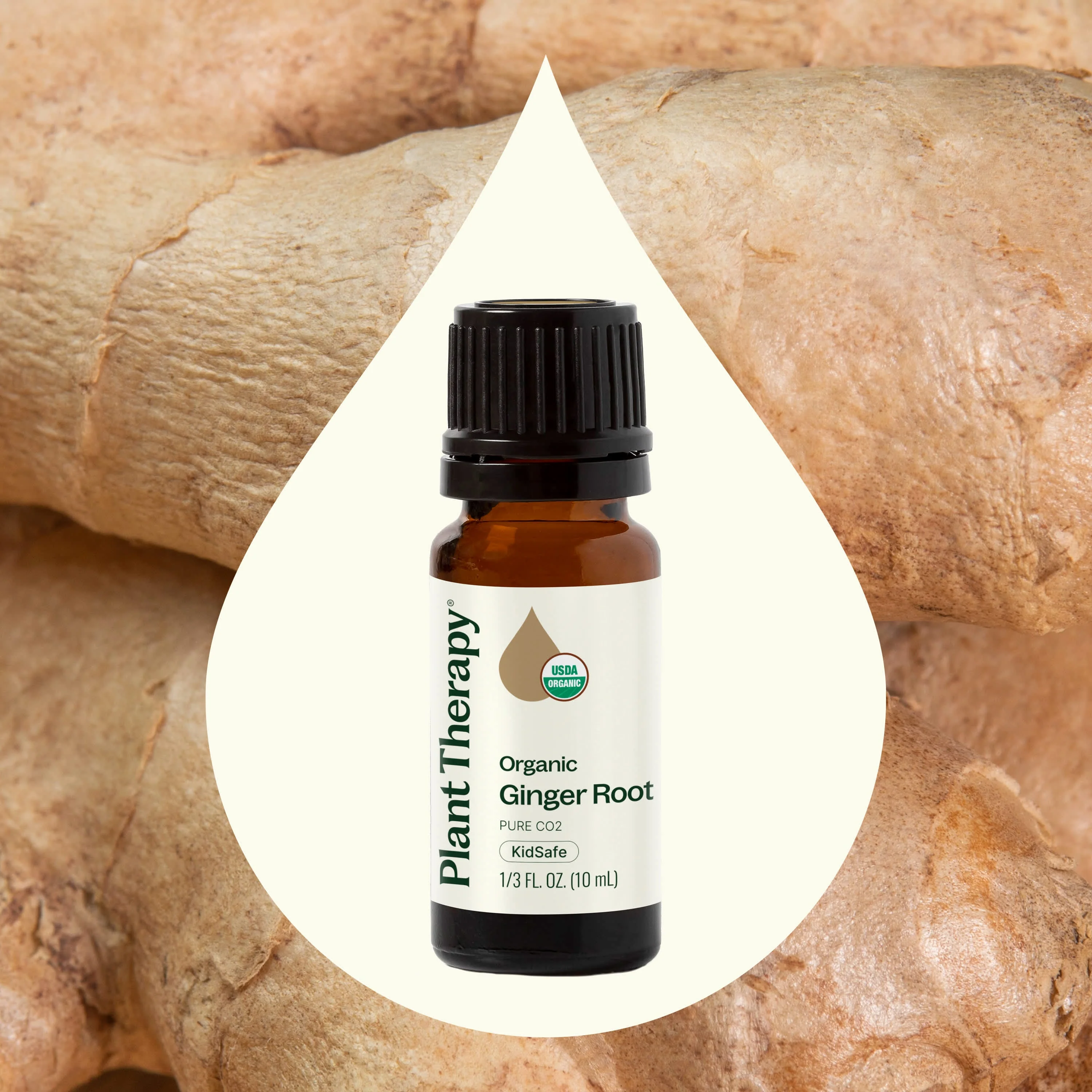 Organic Ginger Root CO2 - Image 3