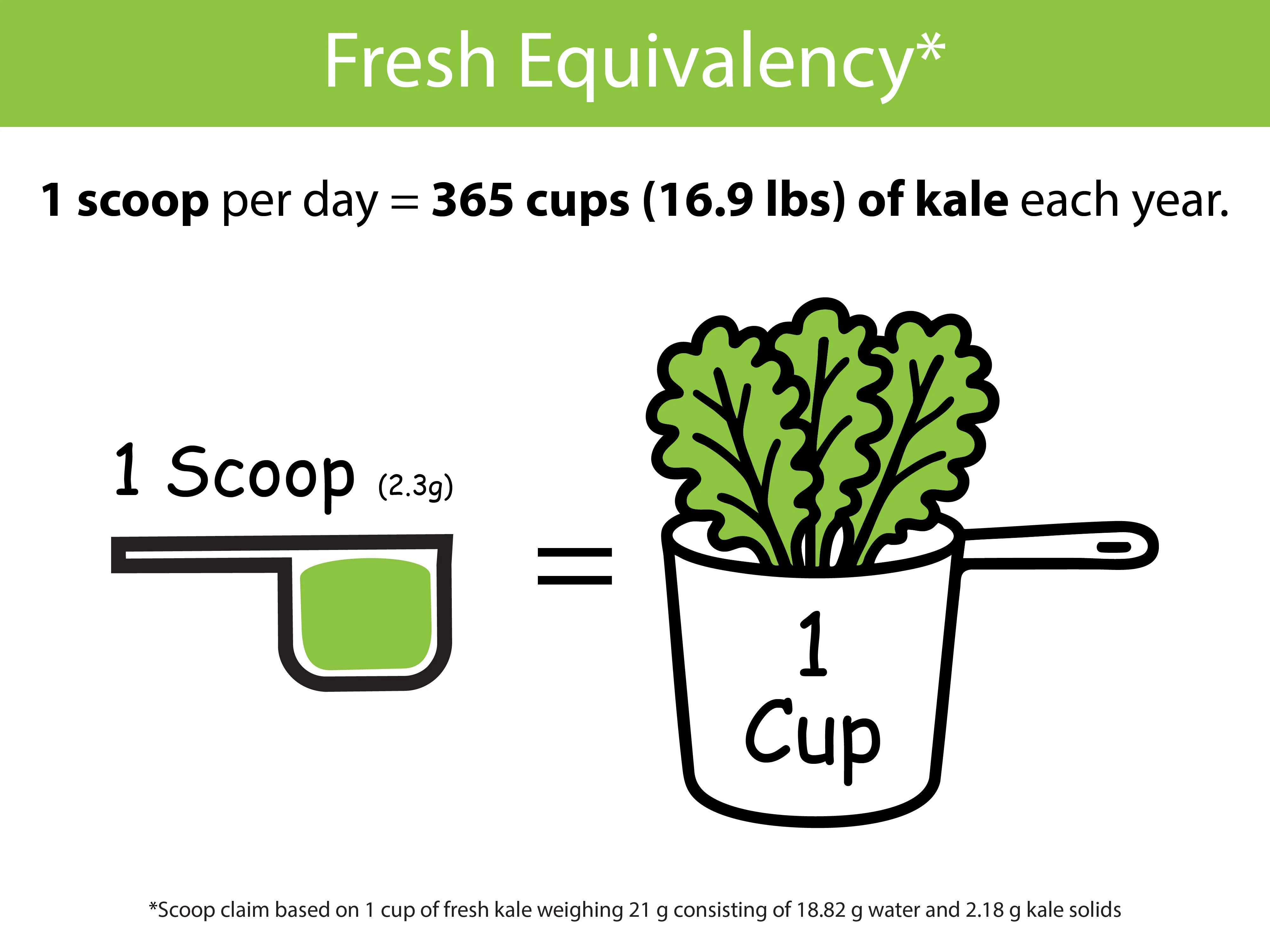 Organic Kale Powder - Image 6