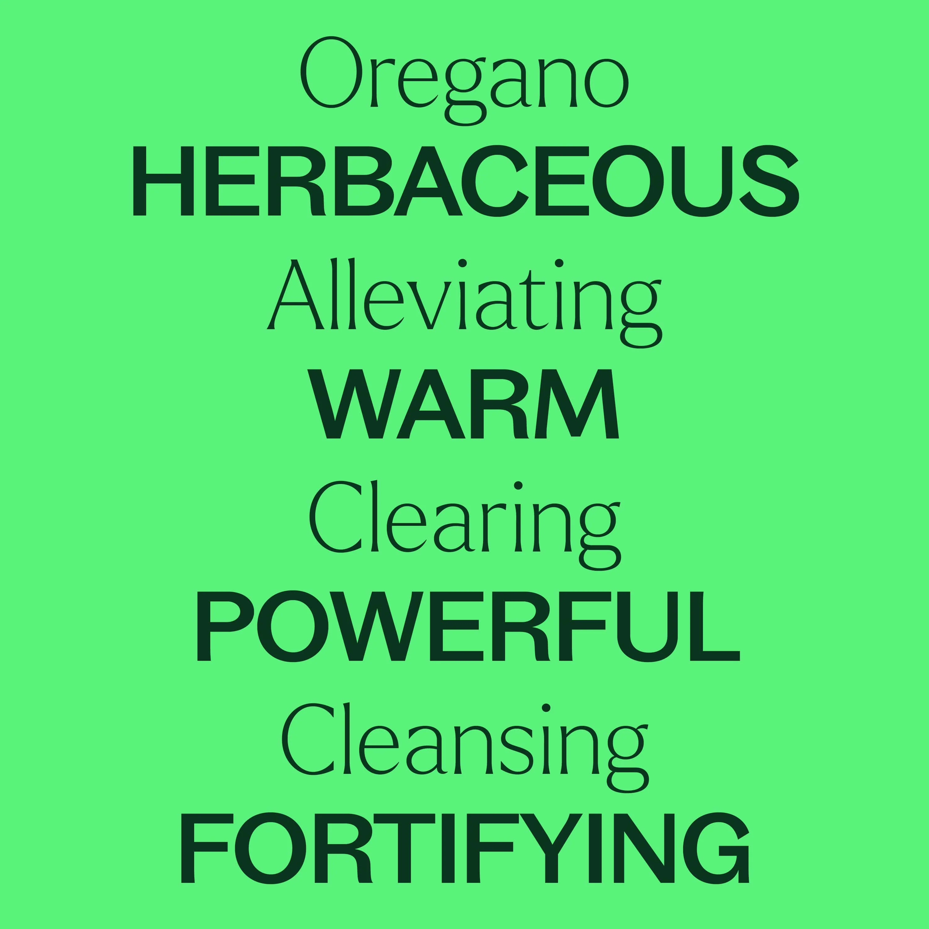 Organic Oregano Essential Oil - Image 4