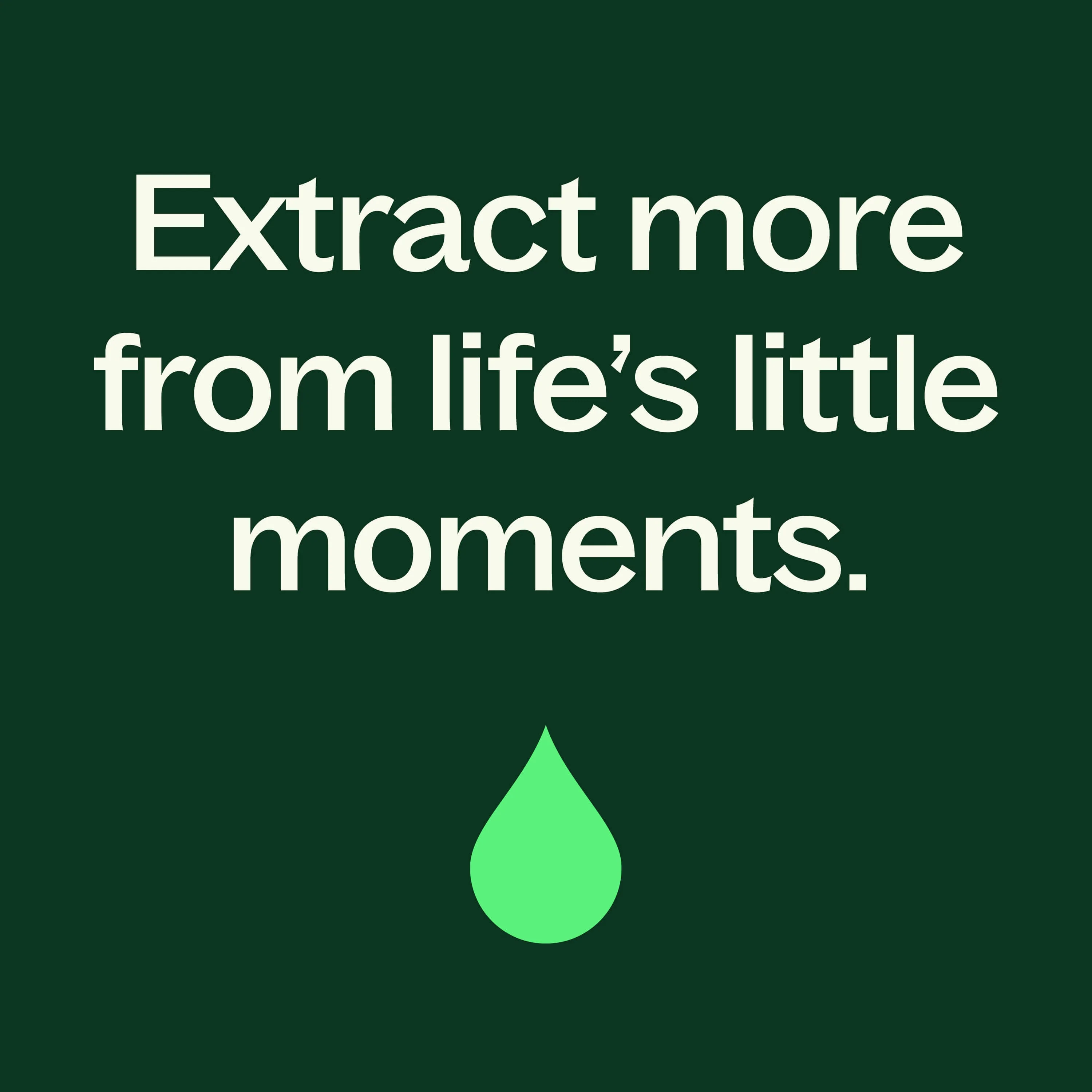 Organic Peppermint Essential Oil - Image 16