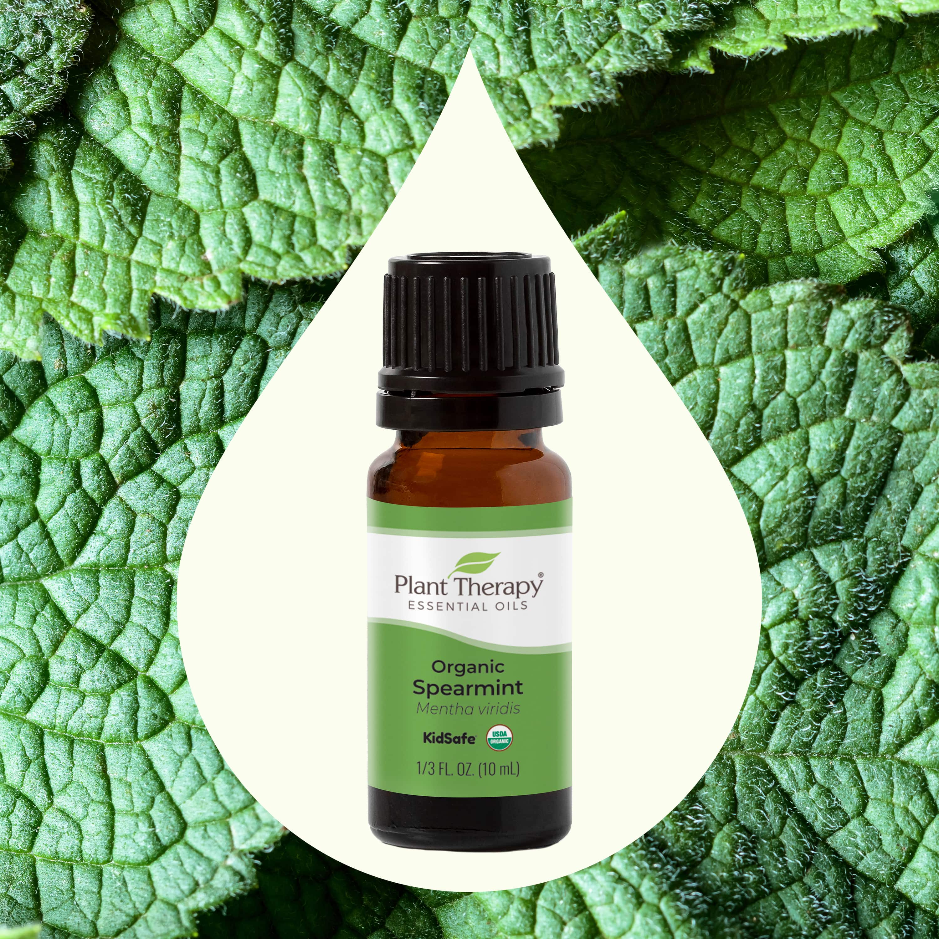 Organic Spearmint Essential Oil - Image 2
