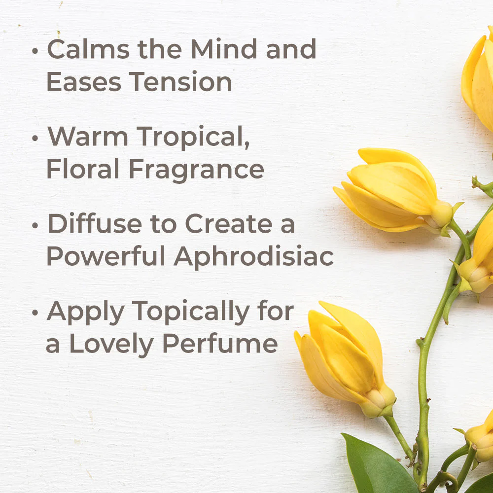 Organic Ylang Ylang Complete Essential Oil - Image 2