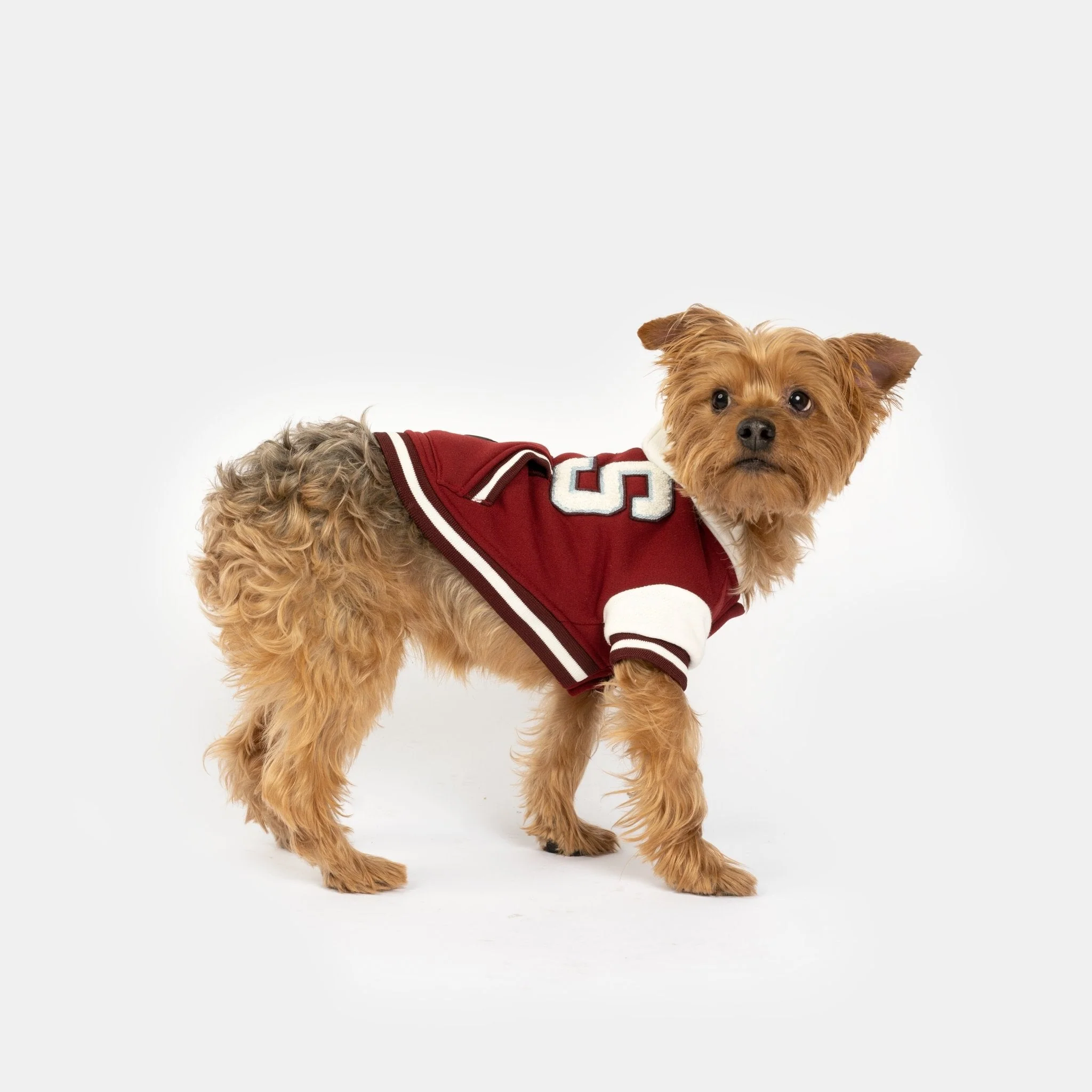 Otis Dog Letterman Jacket - Image 2