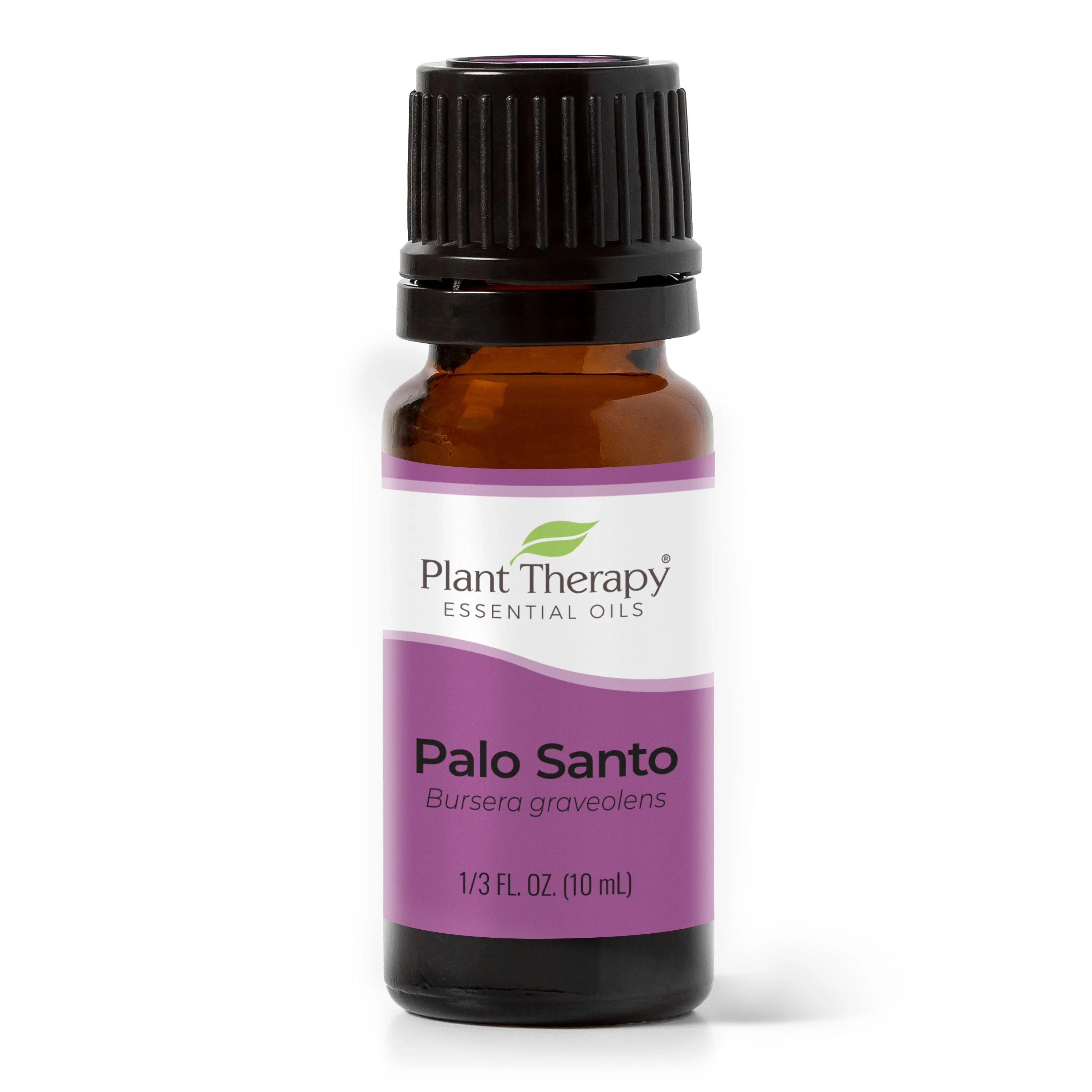 Palo Santo Essential Oil - Image 3