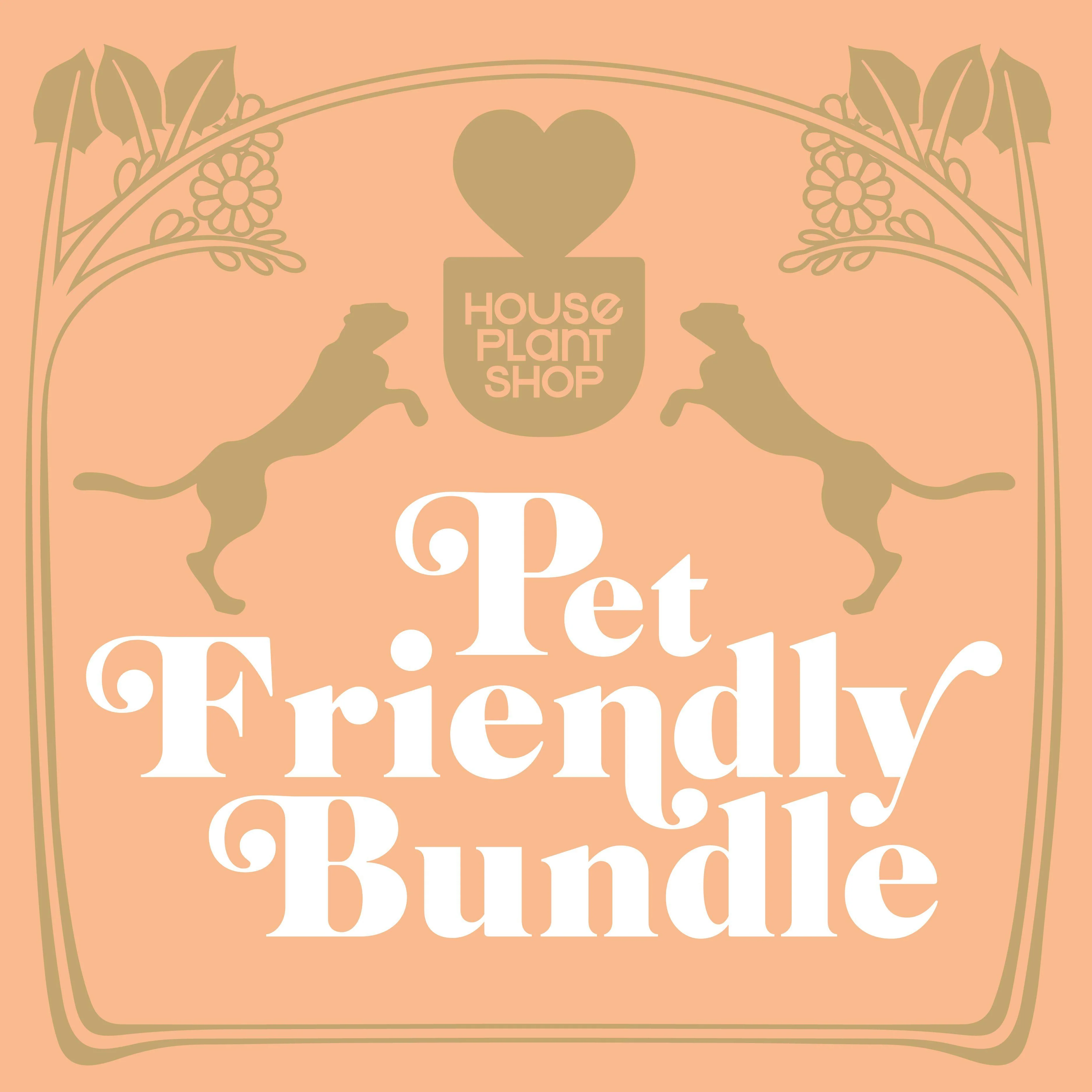 Pet Friendly Variety Bundle - Image 2