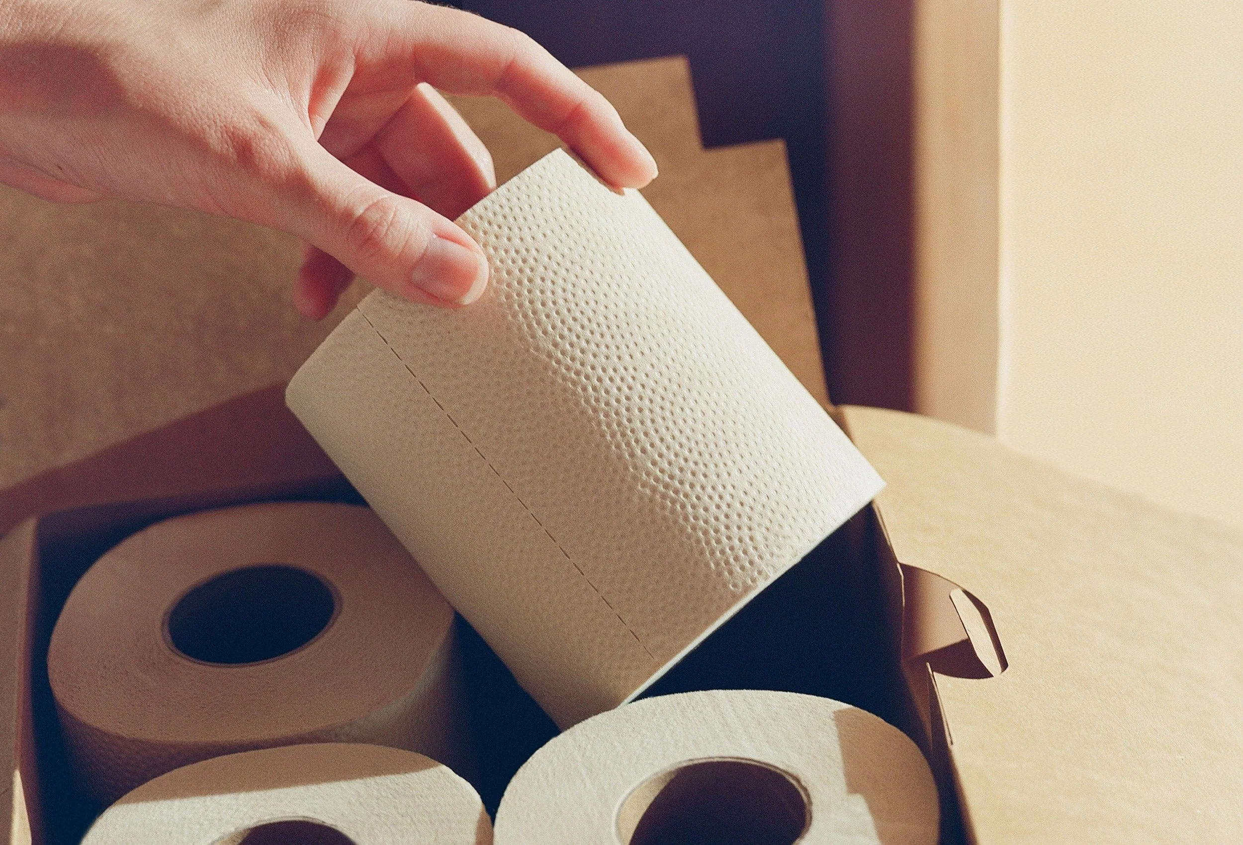 PlantPaper - 32 Rolls - Image 6