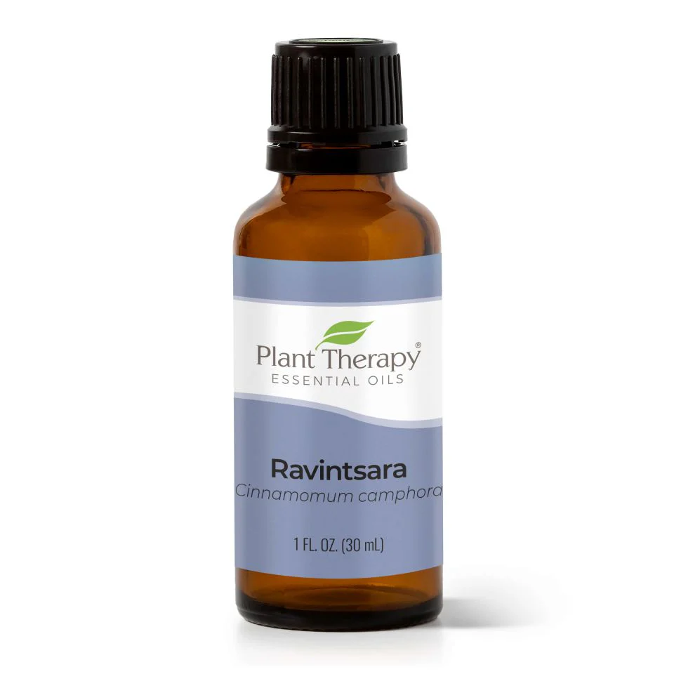 Ravintsara Essential Oil - Image 2