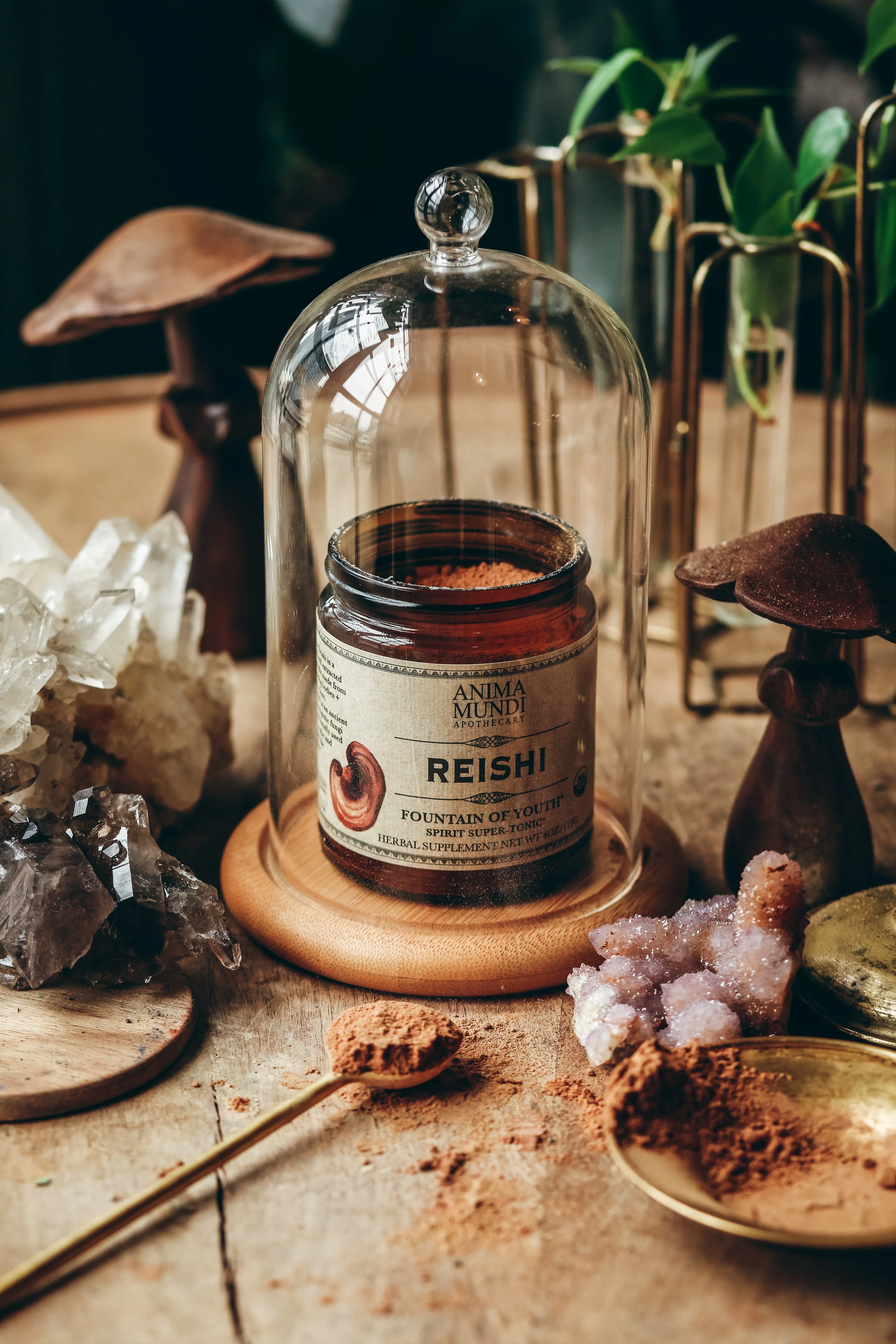 REISHI | Spirit Super-Tonic* - Image 2