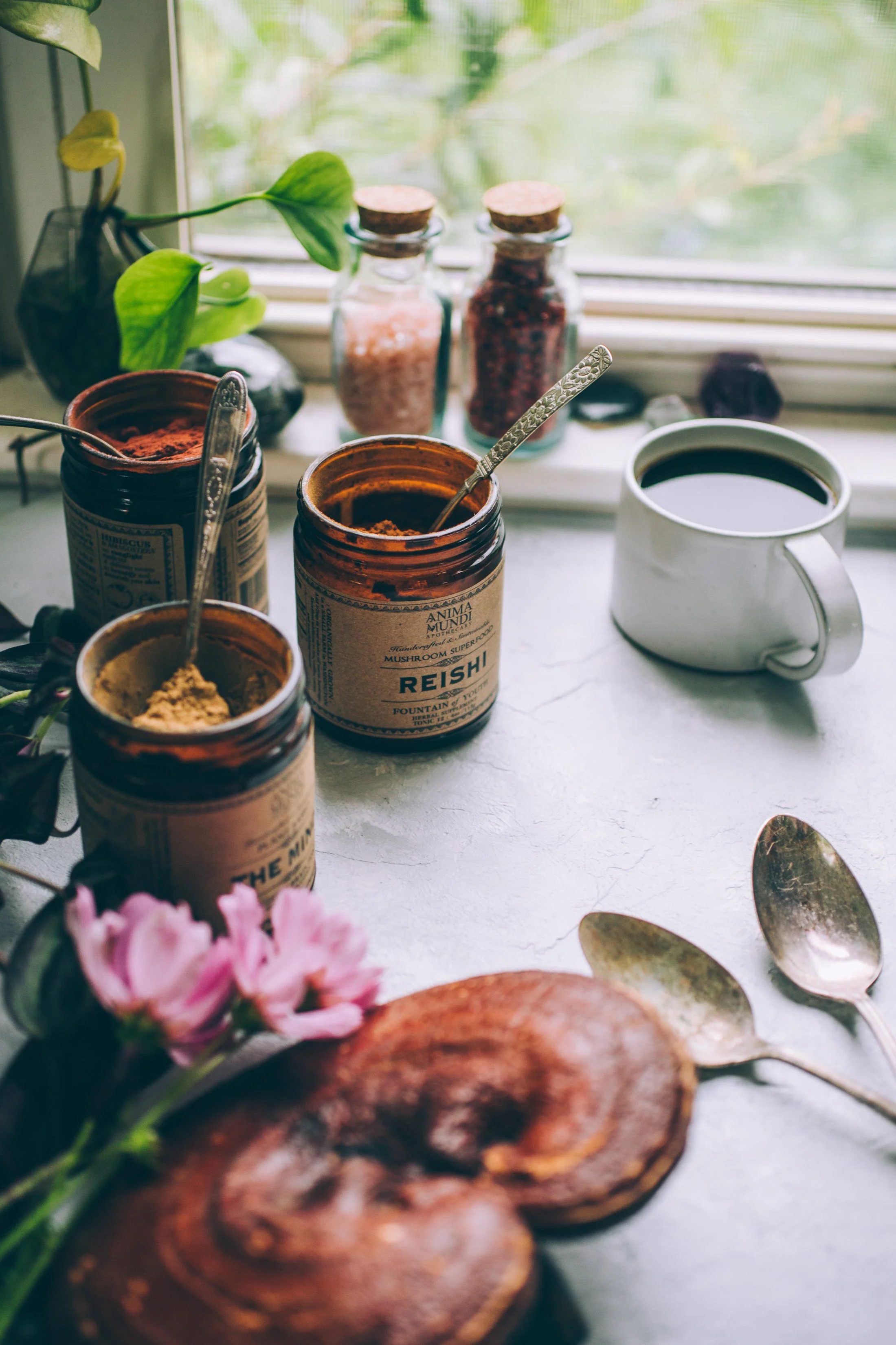 REISHI | Spirit Super-Tonic* - Image 5