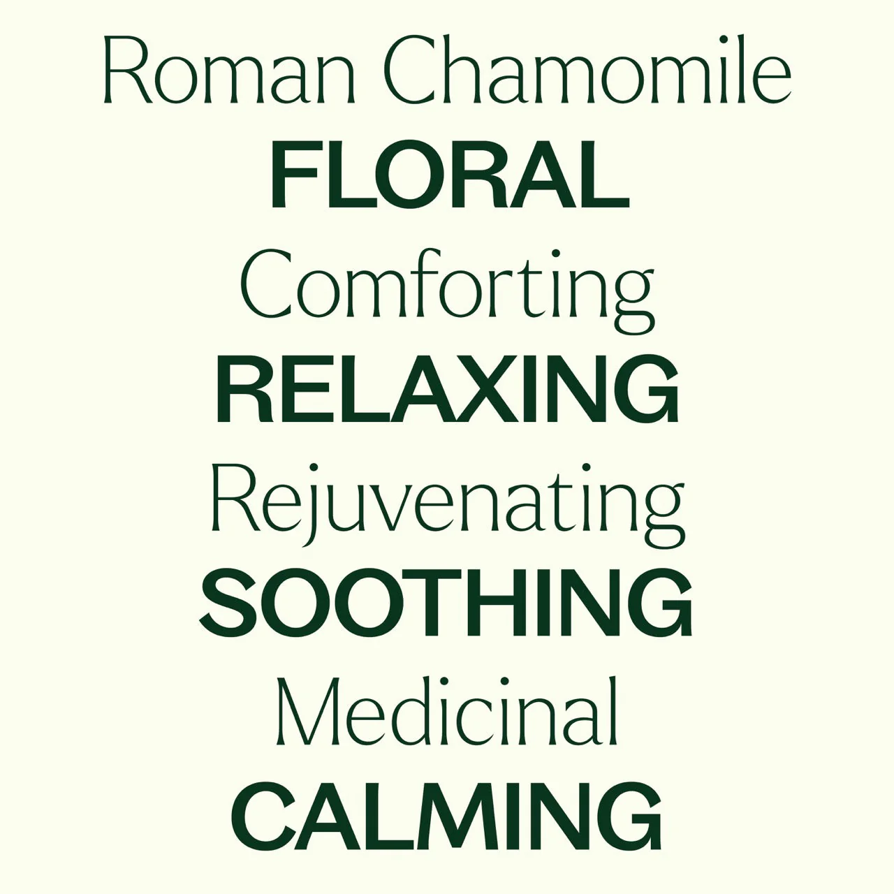 Roman Chamomile Essential Oil - Image 3