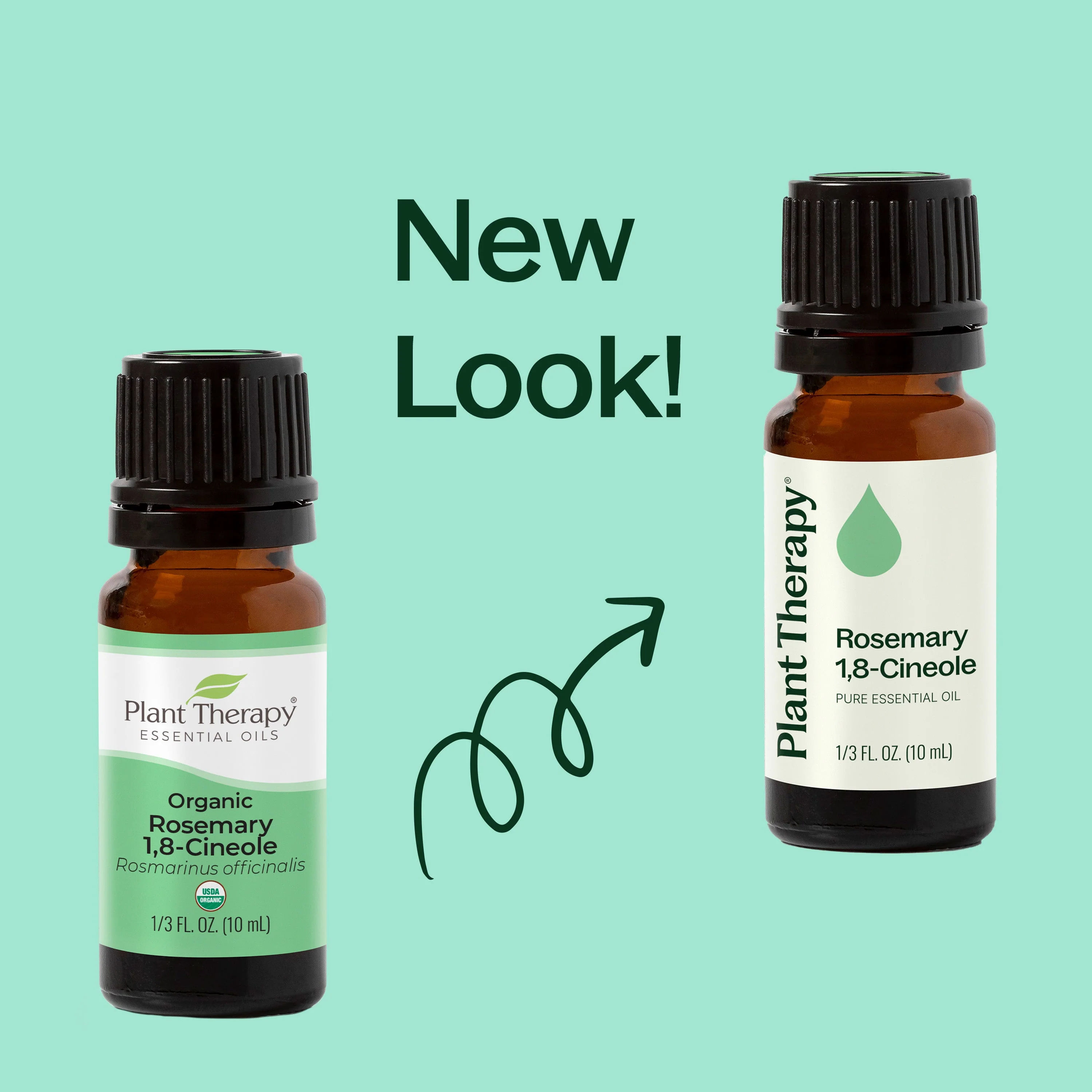 Rosemary 1,8-Cineole Essential Oil - Image 8