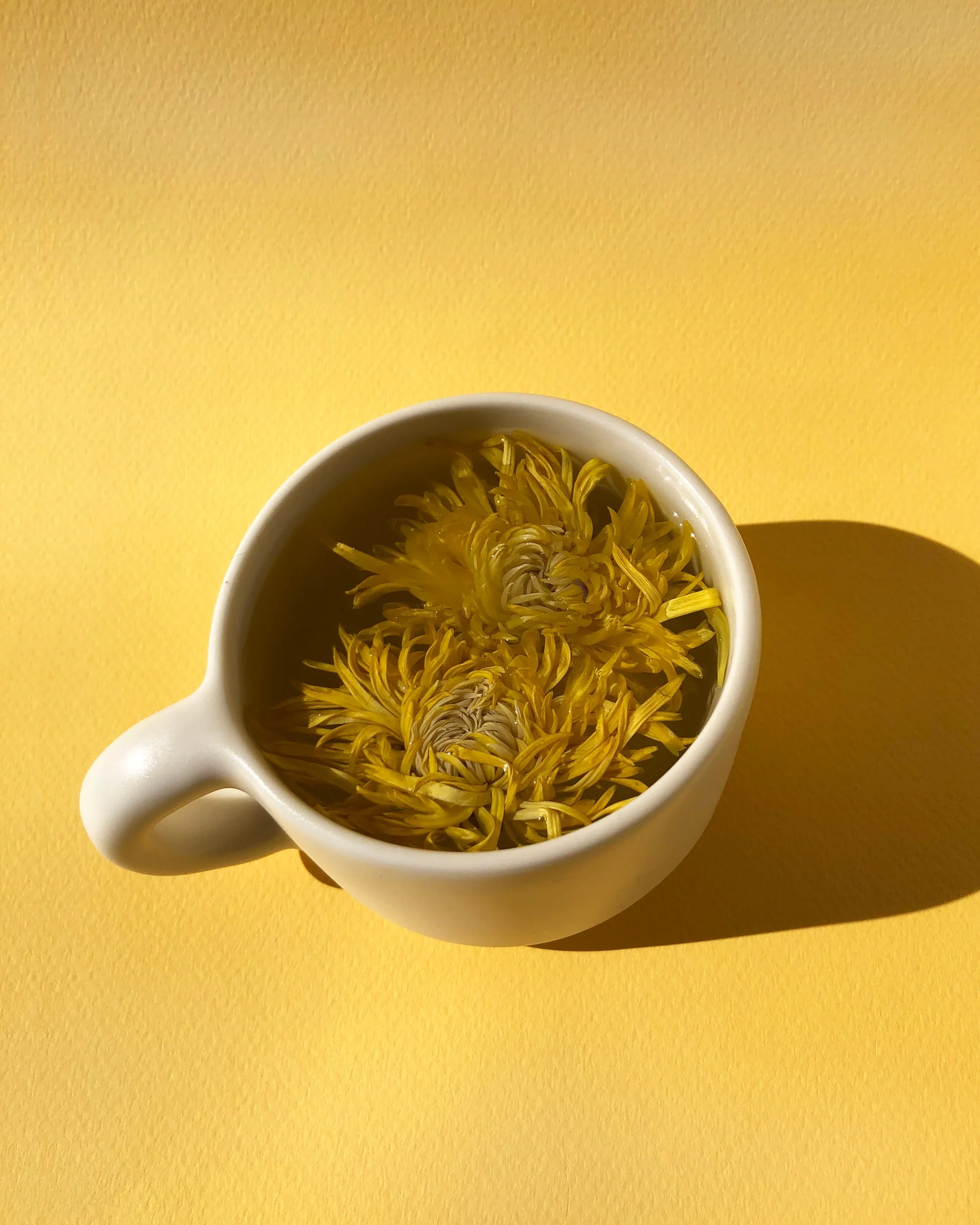 Royal Chrysanthemum - Image 6