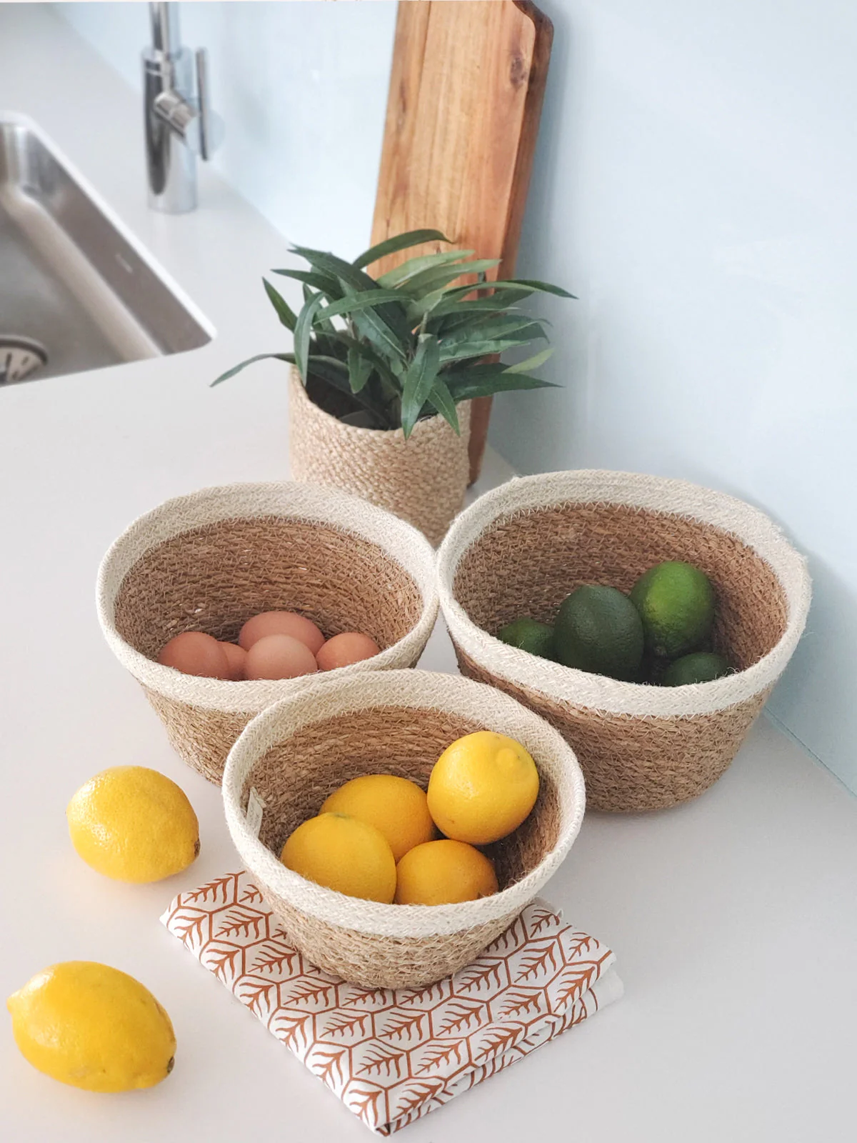 Savar Plant Bowl (Set of 3) - Image 2