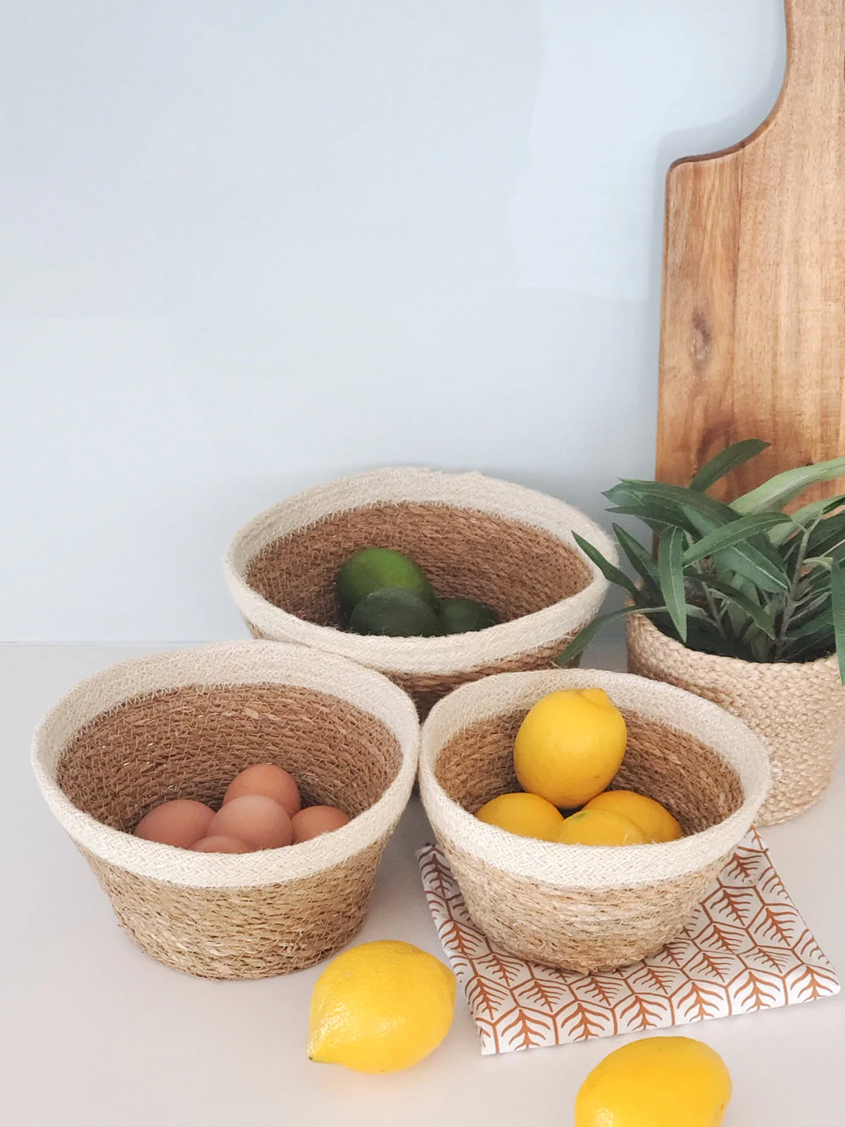 Savar Plant Bowl (Set of 3) - Image 3