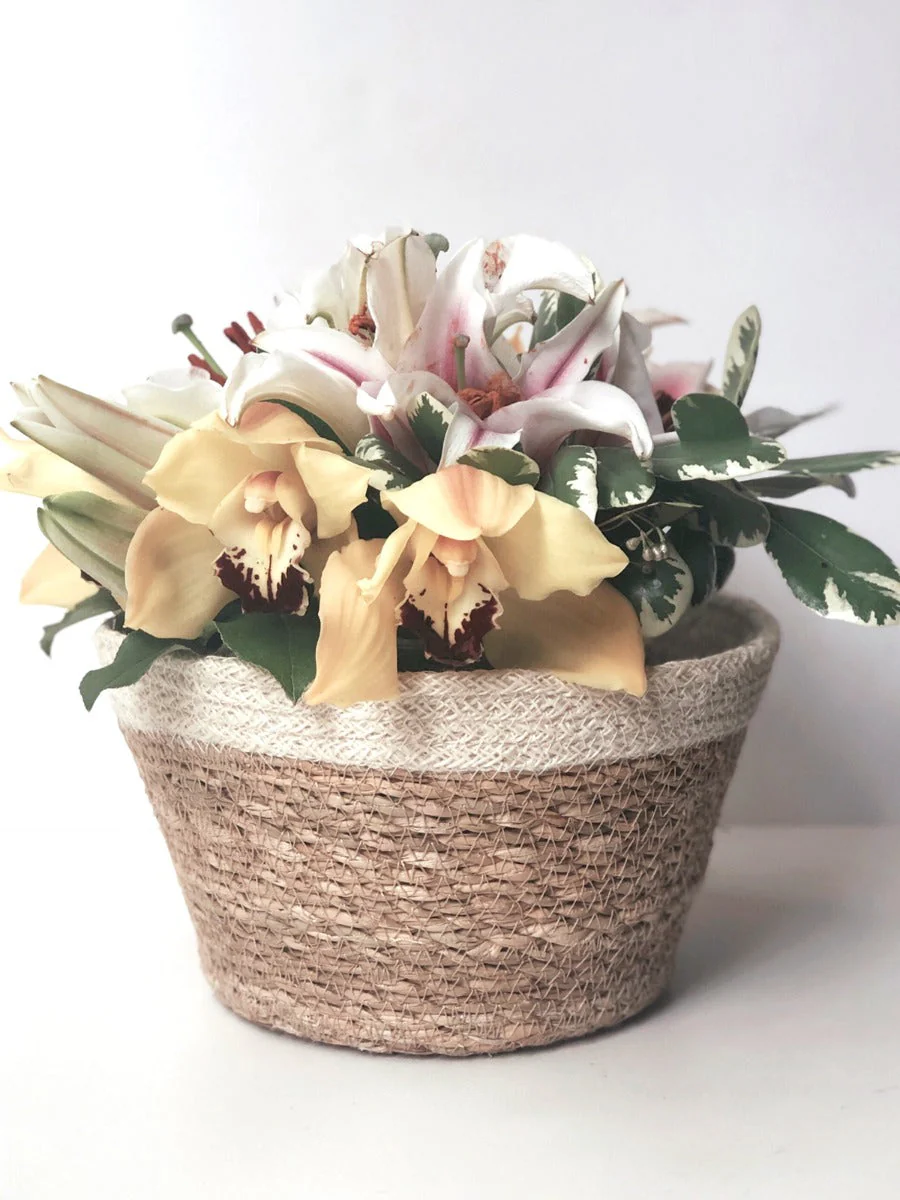 Savar Plant Bowl (Set of 3) - Image 6