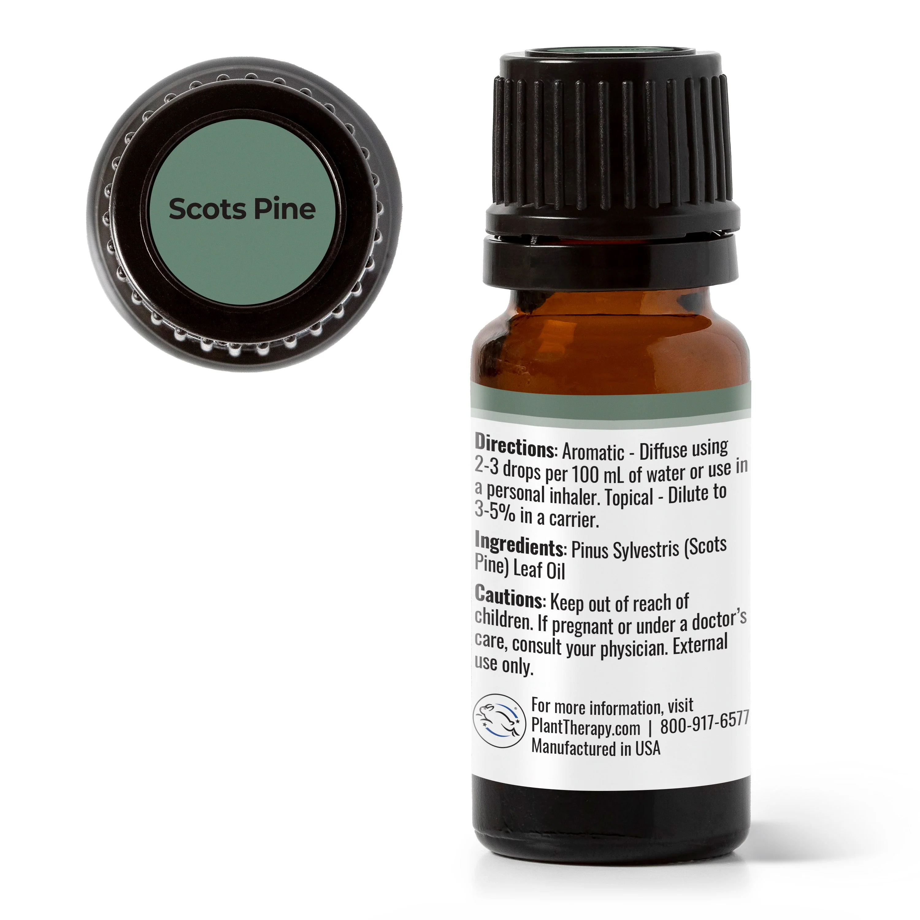 Scots Pine Essential Oil - Image 4