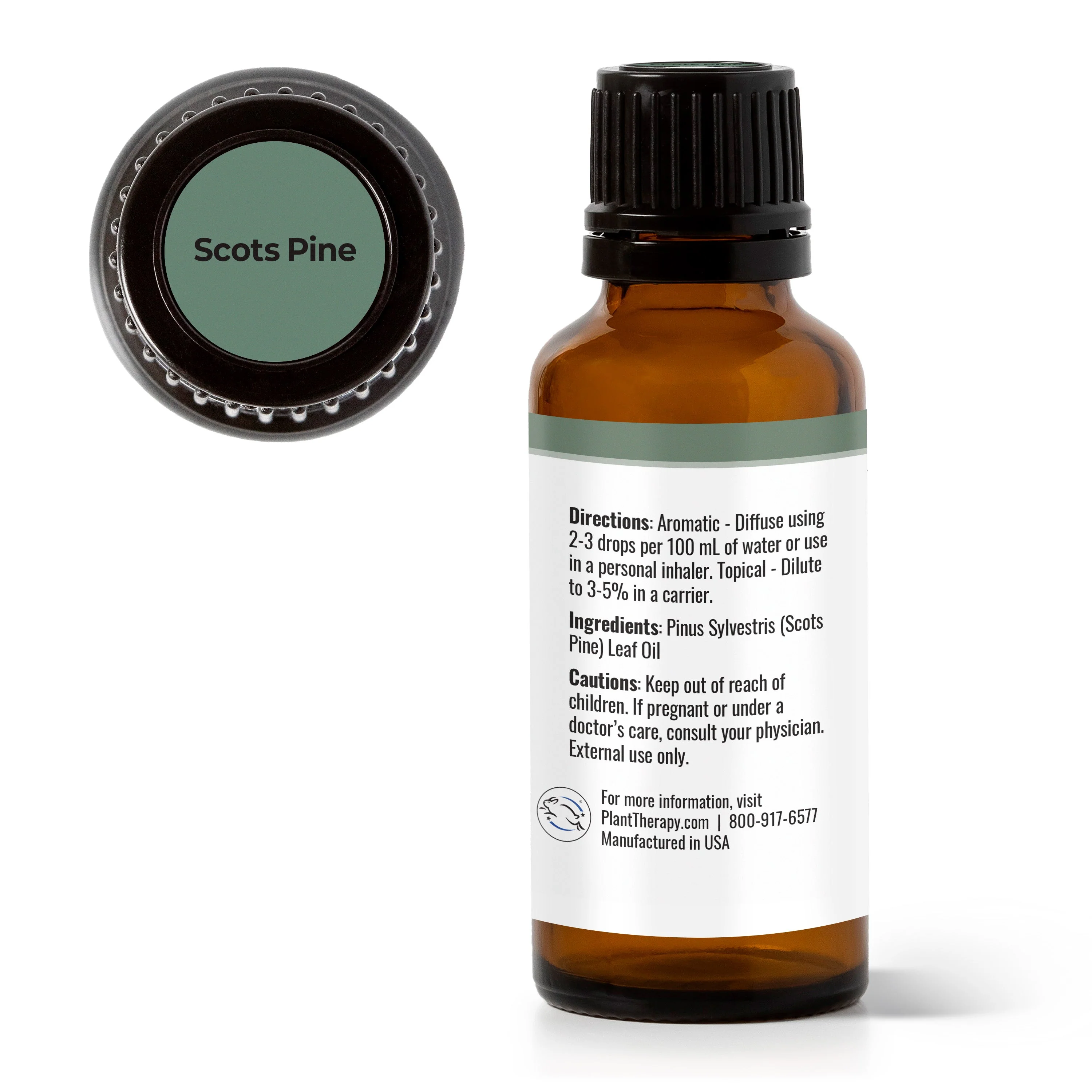 Scots Pine Essential Oil - Image 5