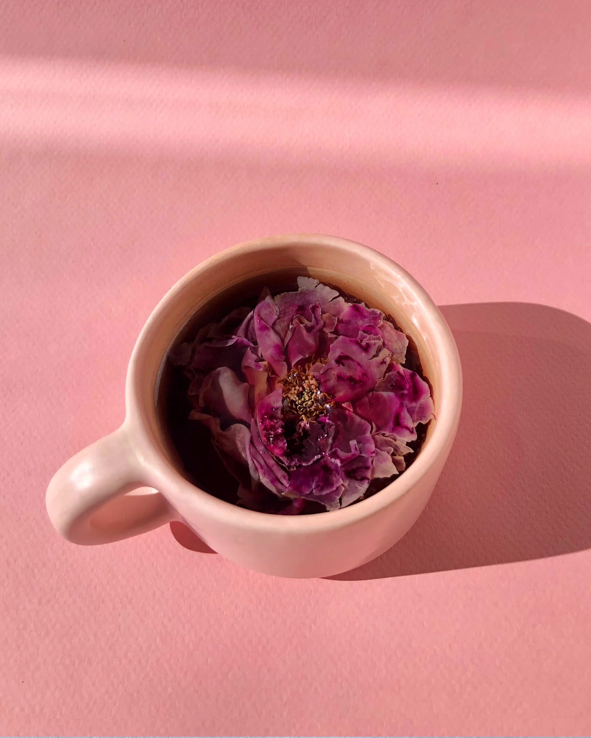 Shangri-la Rose - Image 6