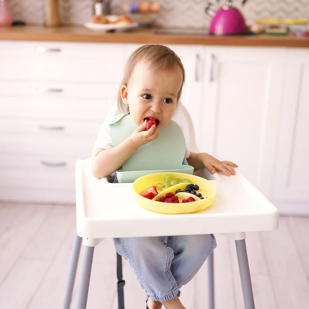 Silicone Divided Suction Plate - Image 11