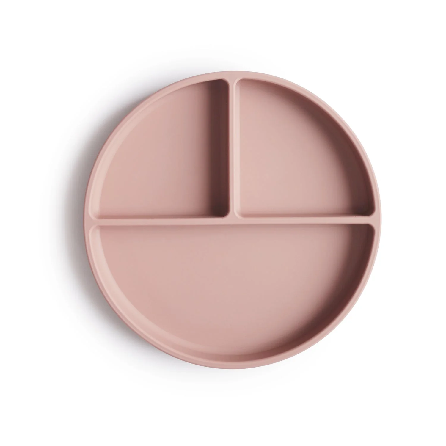 Silicone Suction Plate - Image 11