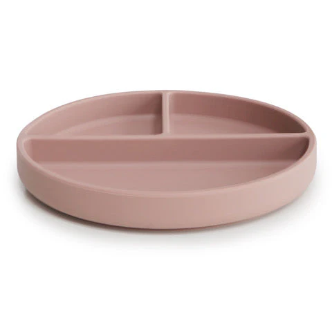 Silicone Suction Plate - Image 12