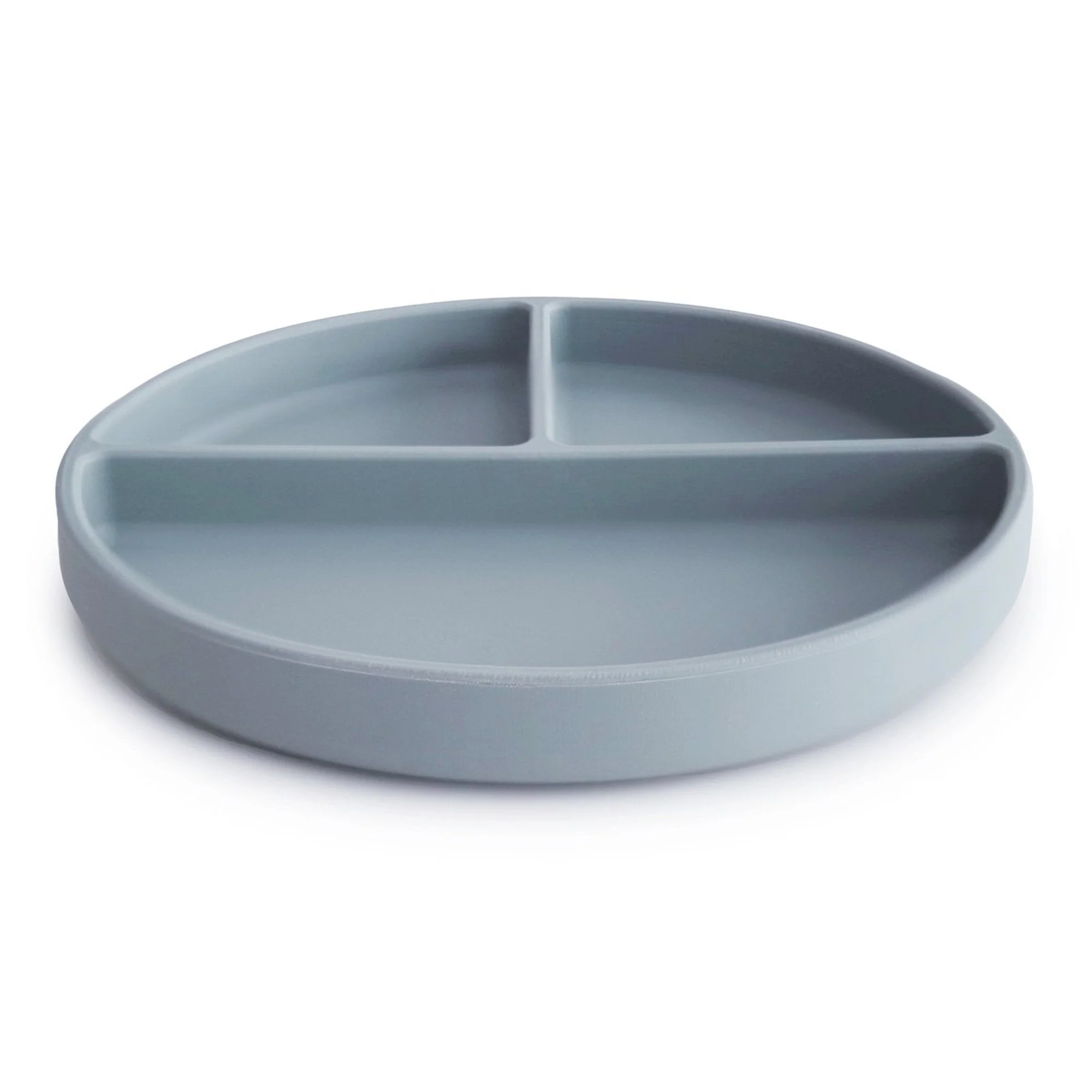Silicone Suction Plate - Image 19