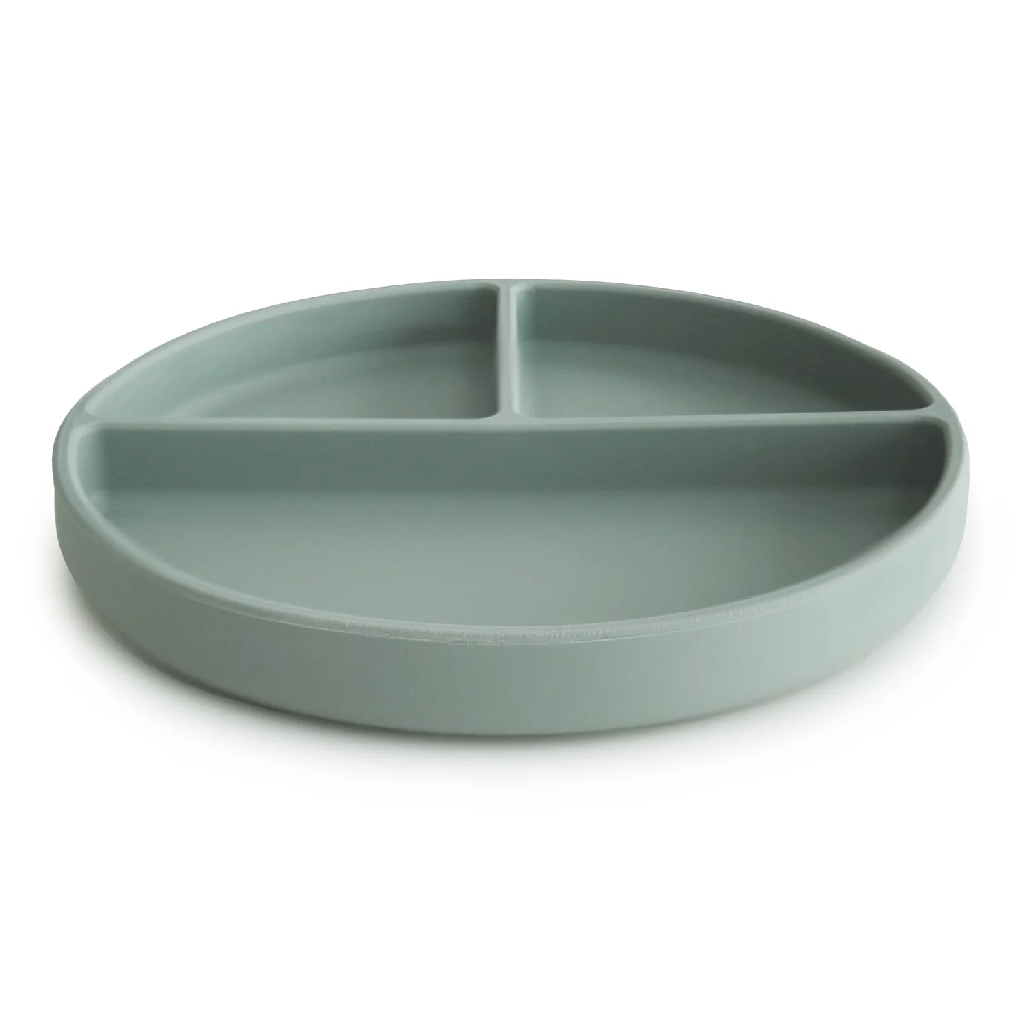 Silicone Suction Plate - Image 2