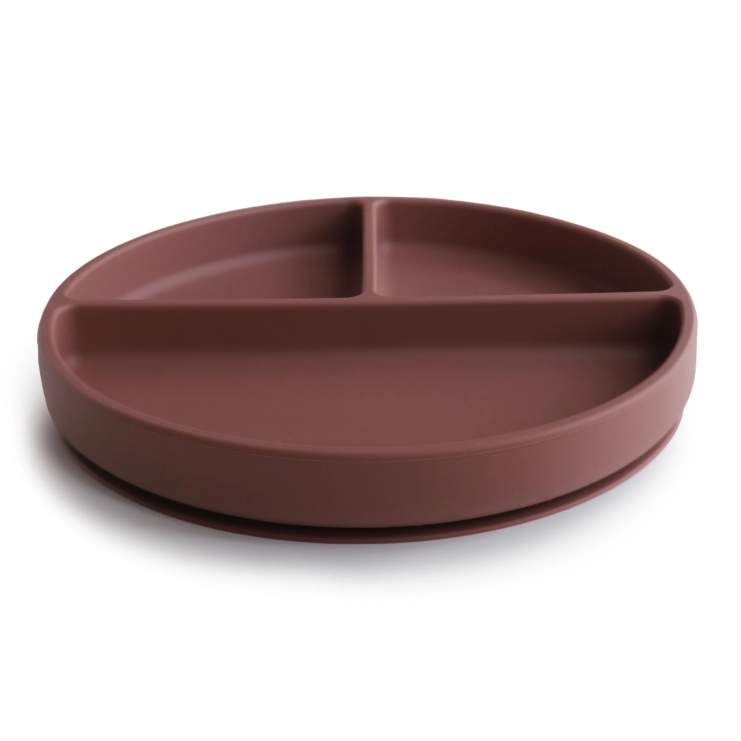 Silicone Suction Plate - Image 27
