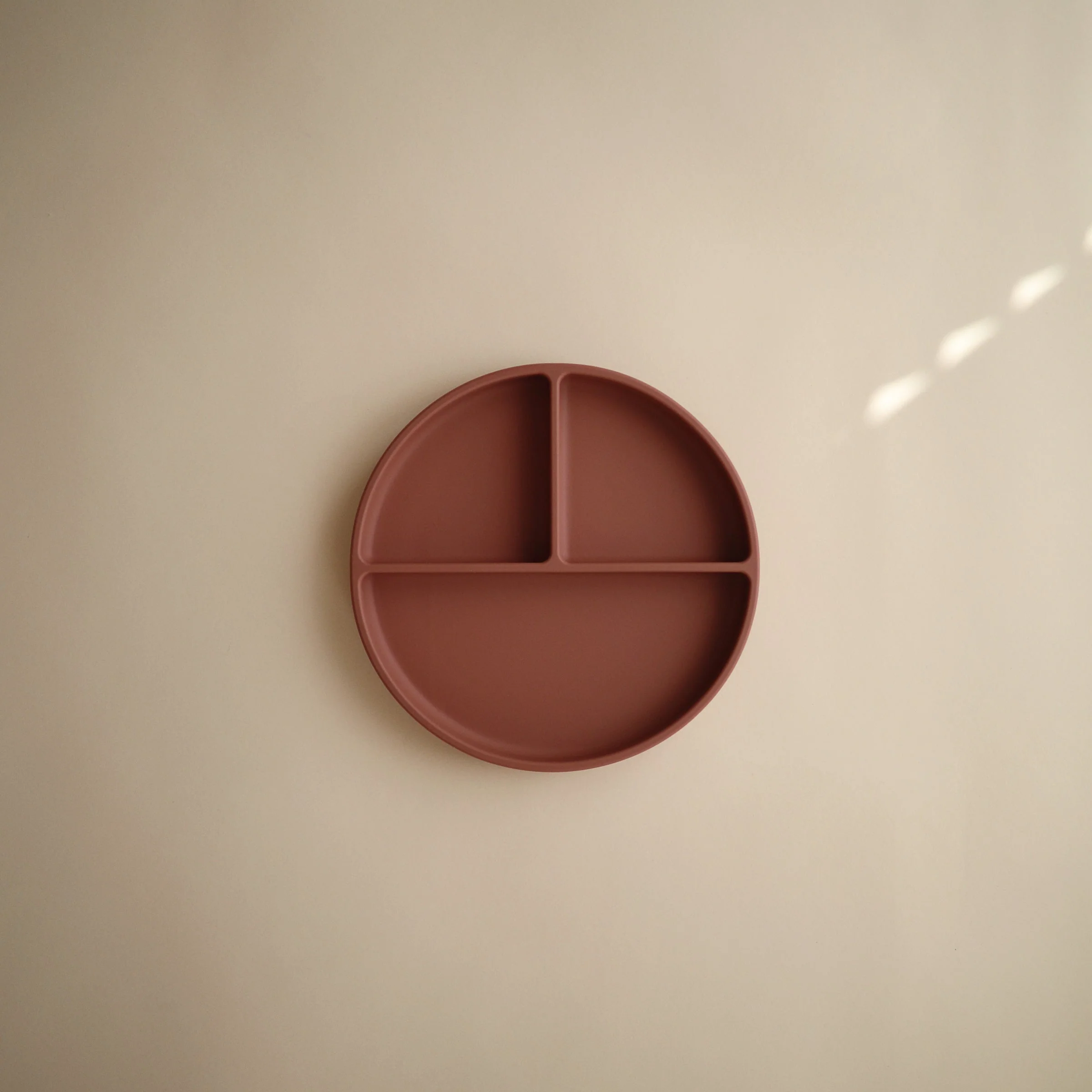 Silicone Suction Plate - Image 31