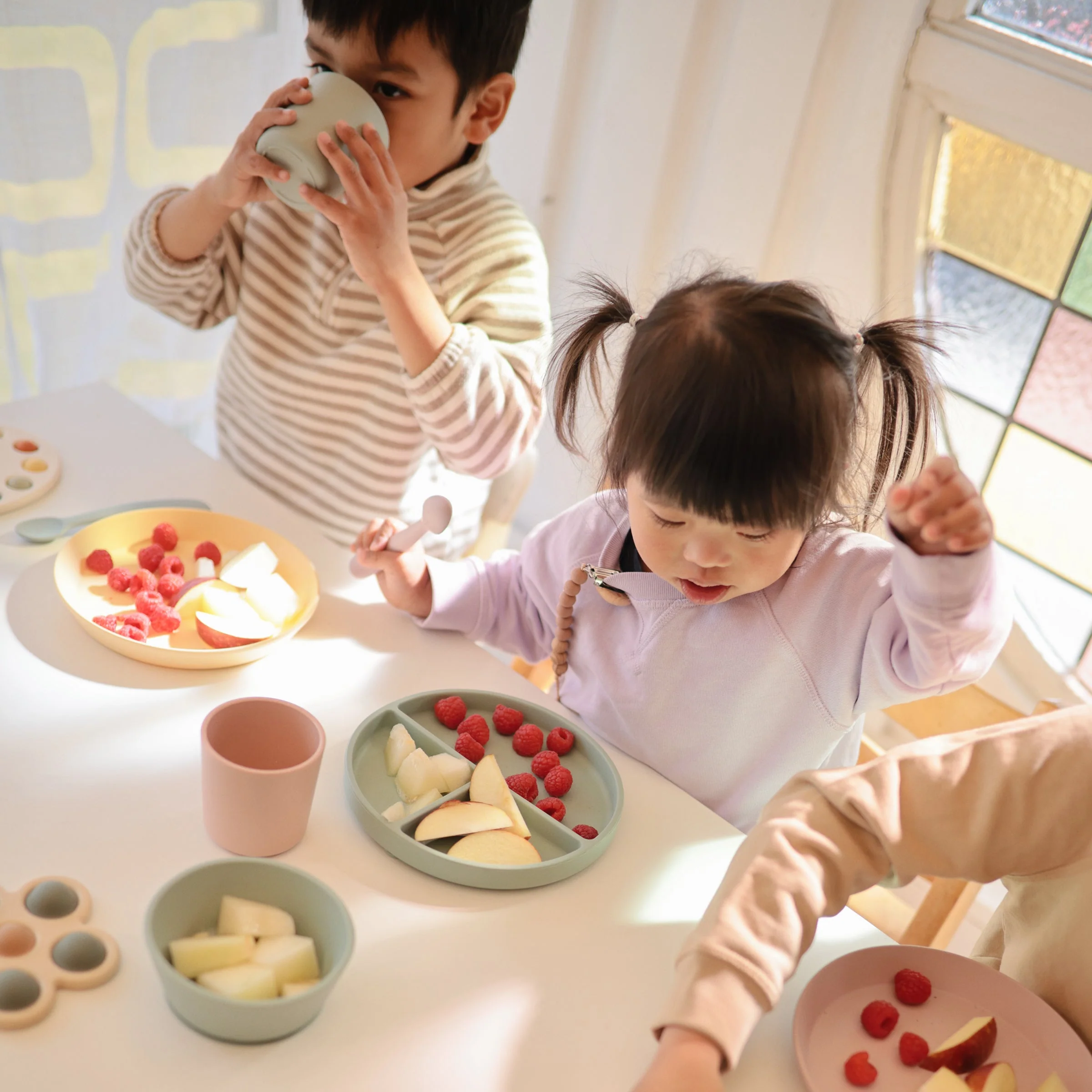 Silicone Suction Plate - Image 49