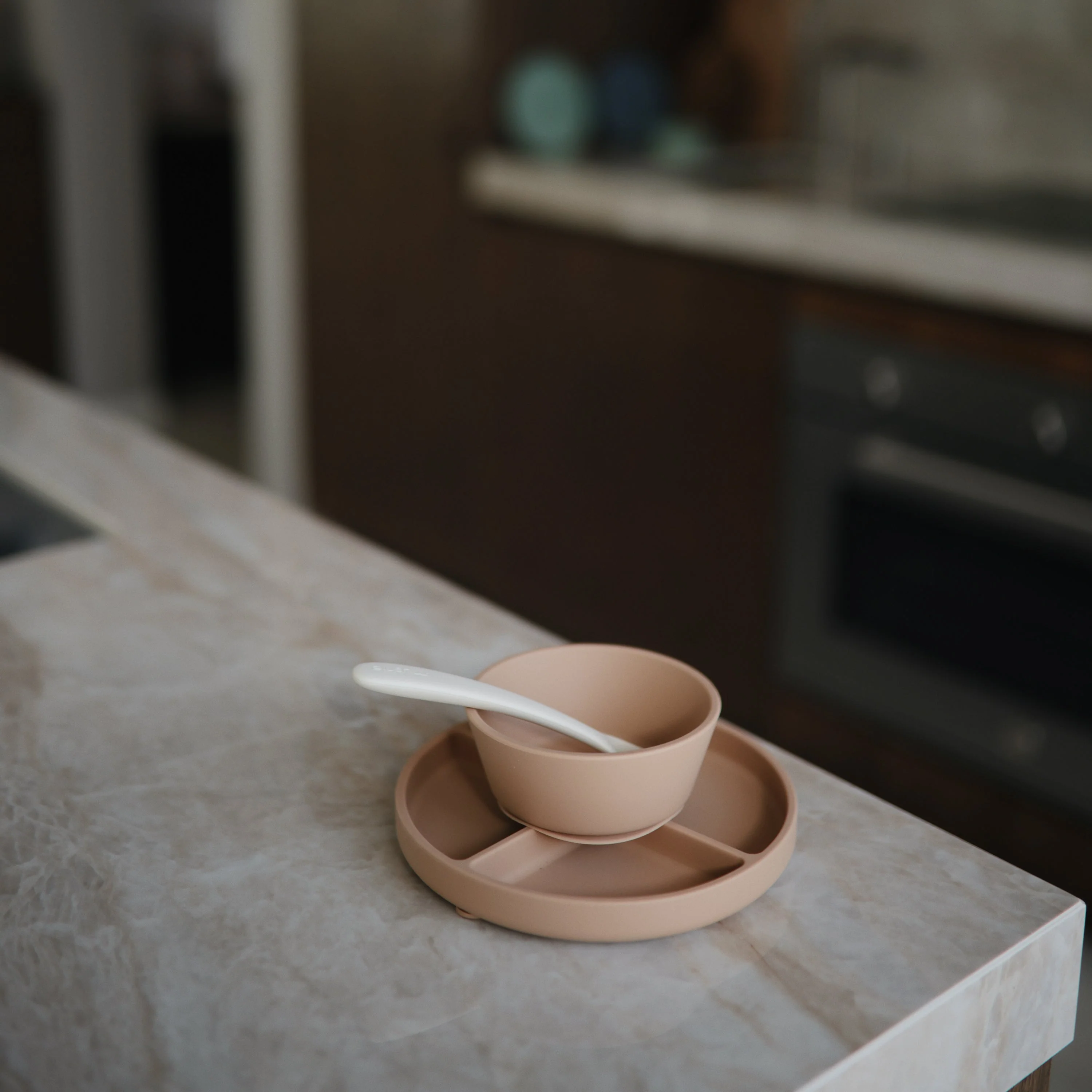 Silicone Suction Plate - Image 61