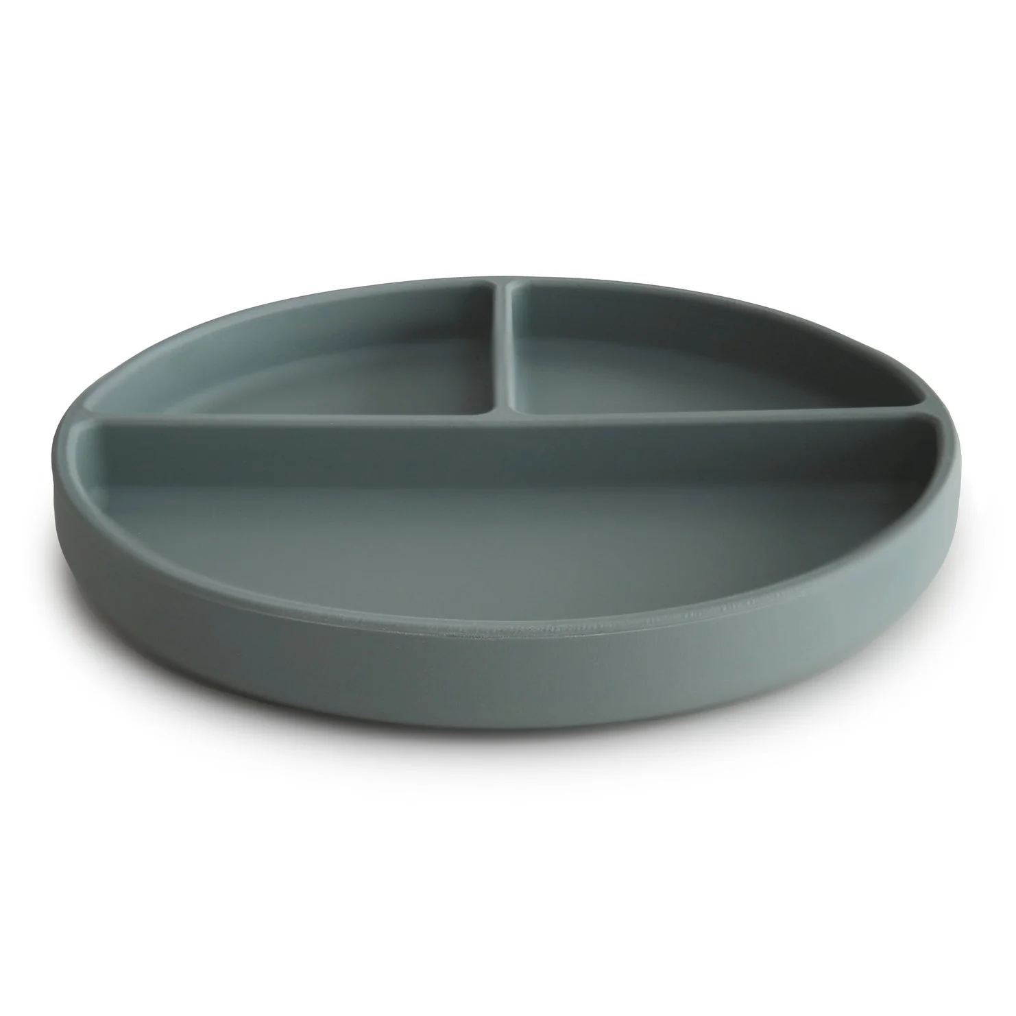 Silicone Suction Plate - Image 7