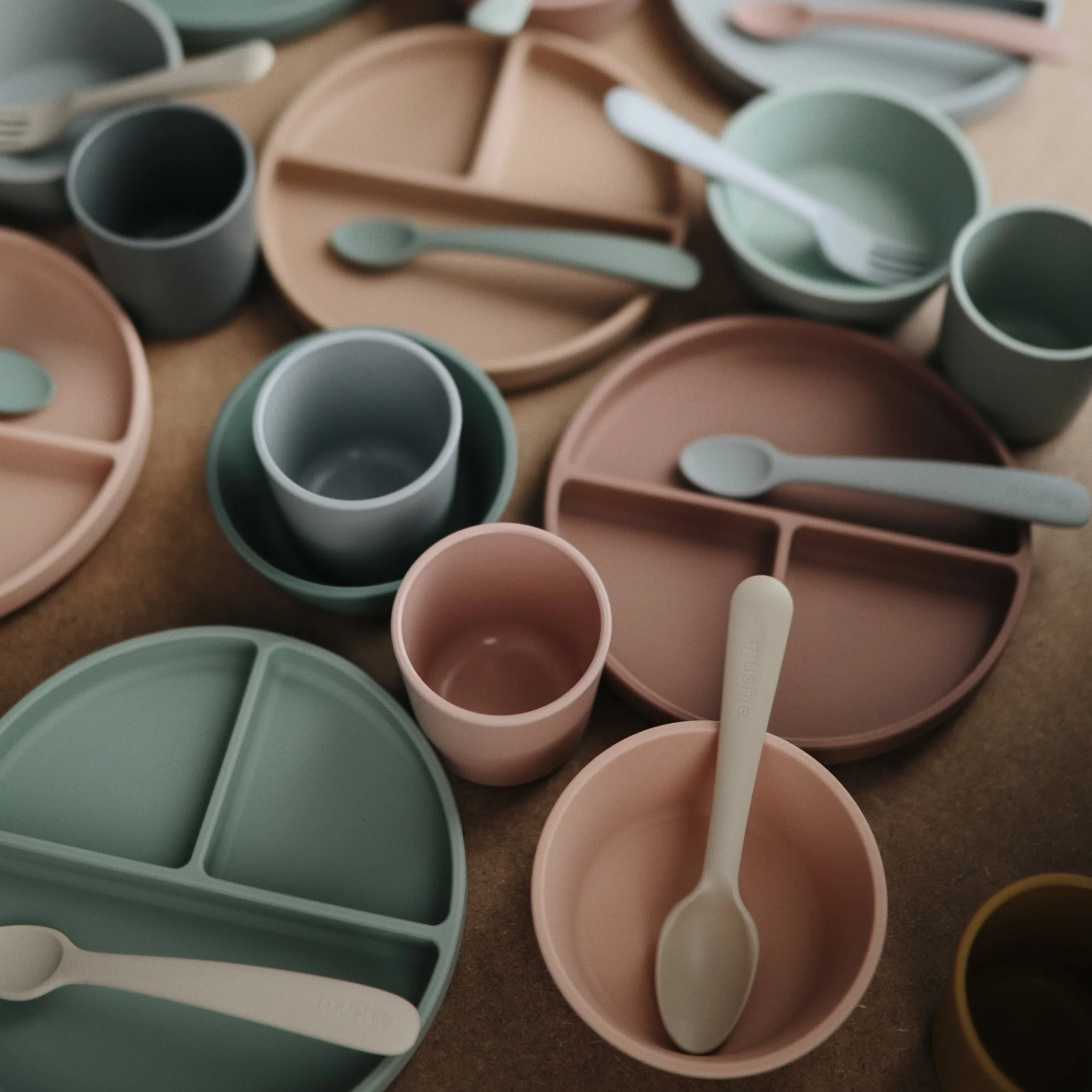 Silicone Suction Plate - Image 97
