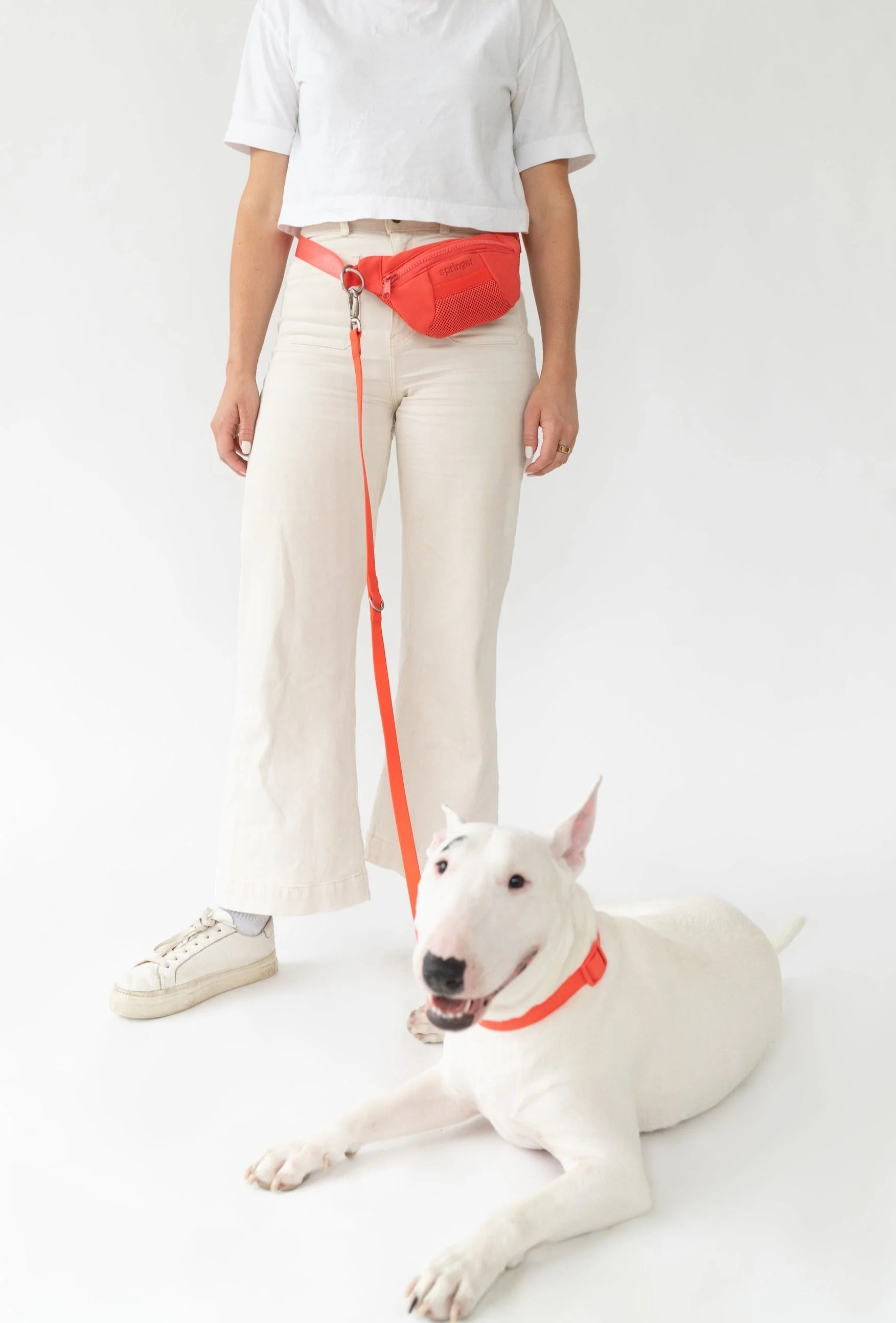 Sling Bag + Dog Leash - Image 15