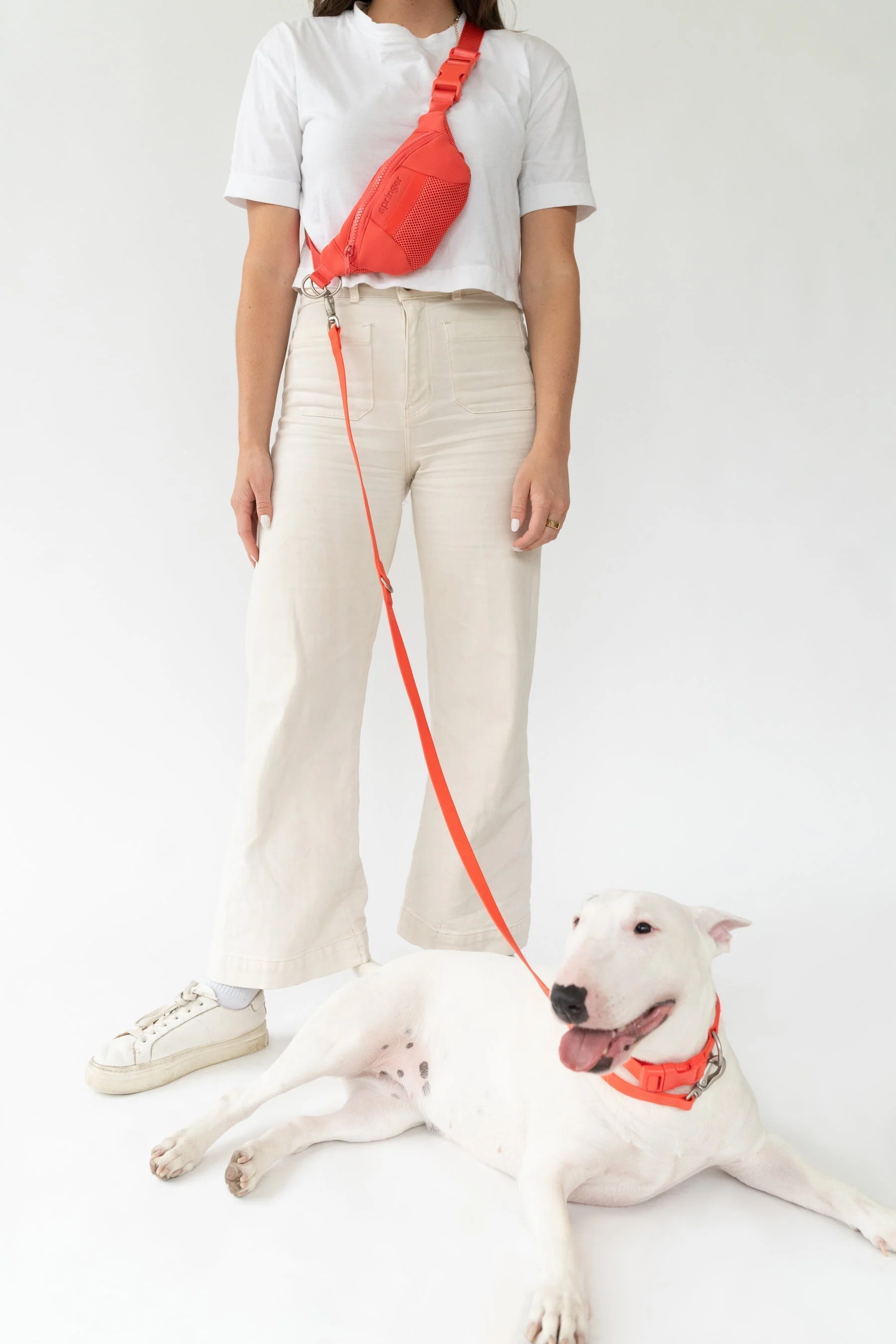 Sling Bag + Dog Leash - Image 3