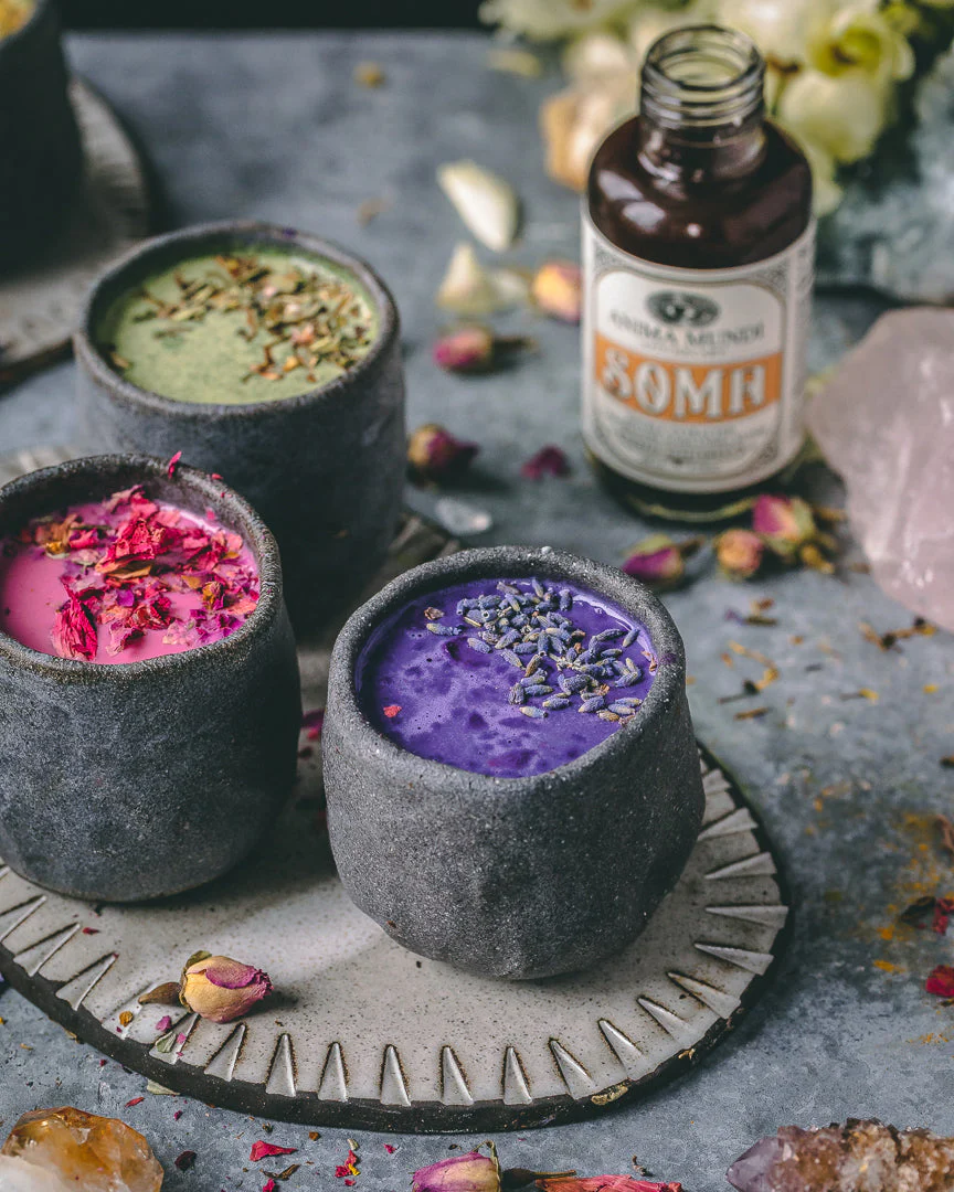 SOMA Elixir | 7 Mushrooms + Schisandra - Image 9