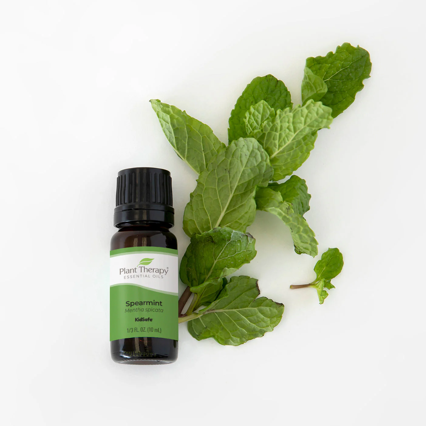 Spearmint Essential Oil - Image 2