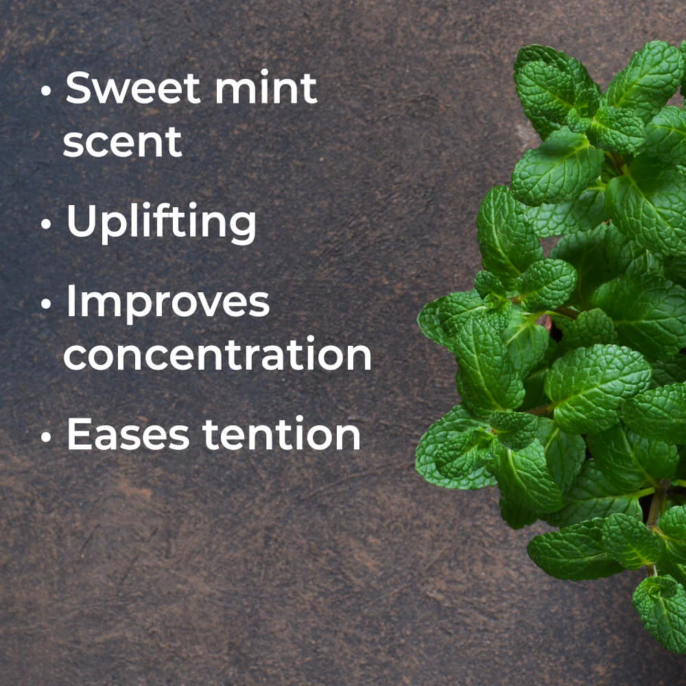 Spearmint Essential Oil - Image 3
