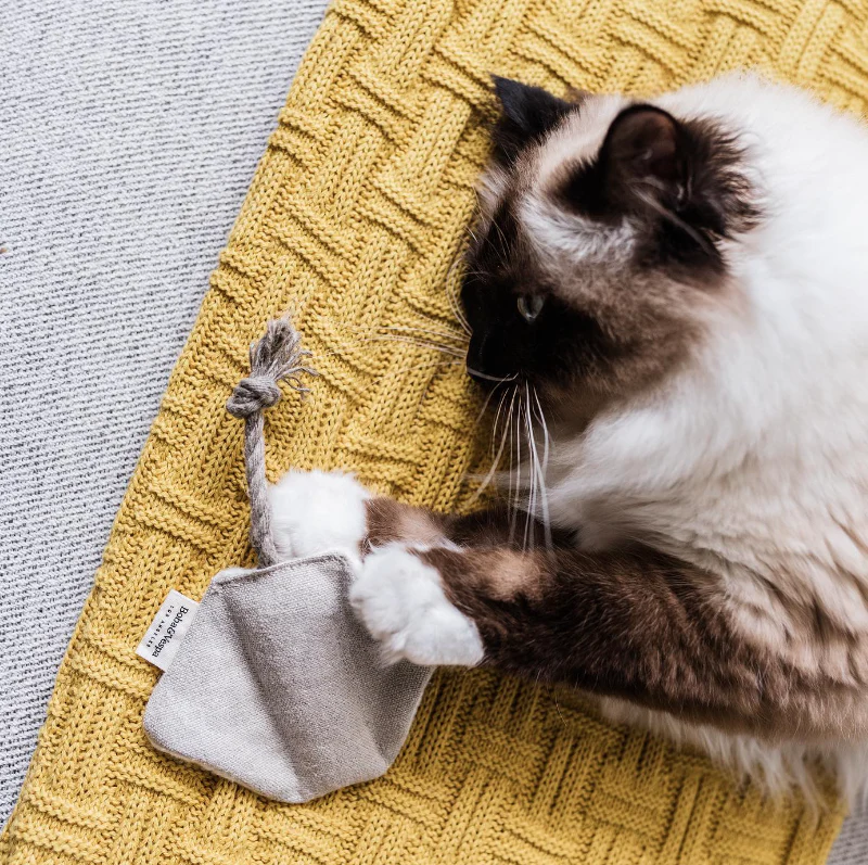 Stingray Cat Toy in Cotton with Buckwheat for Crinkles and Organic Catnip - Image 3