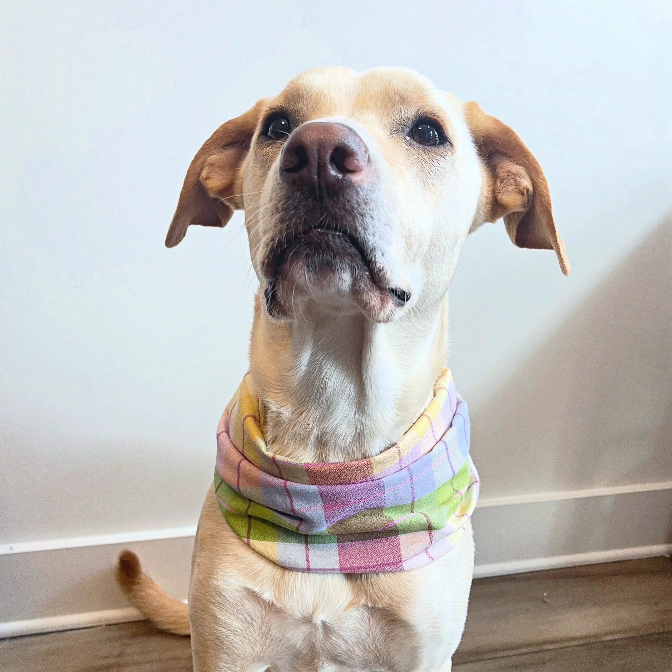 Summery Plaid Scarf - Image 3