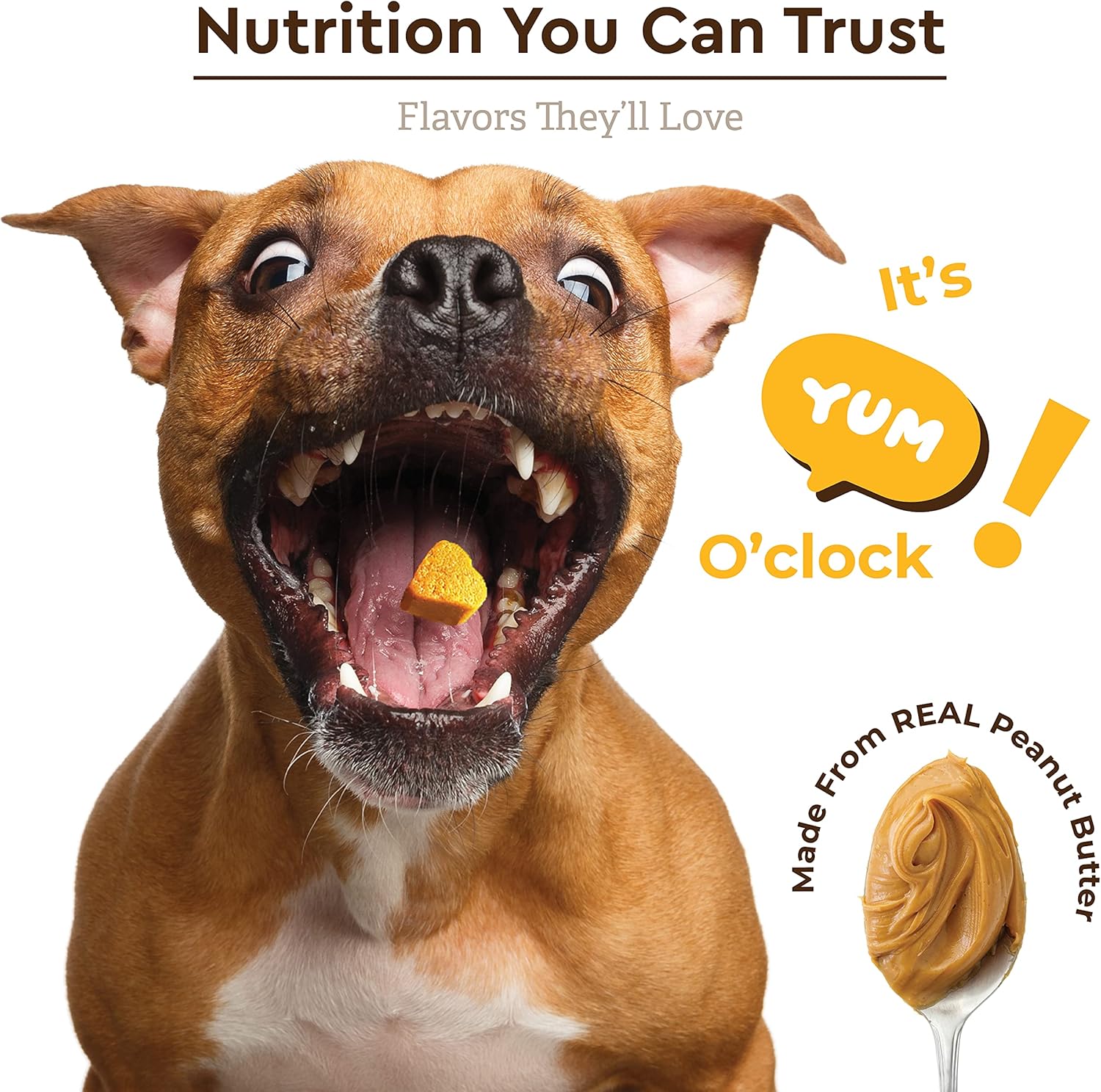 Super Multi-Vitamin Peanut Butter Soft Chew with Ashwagandha - Image 6