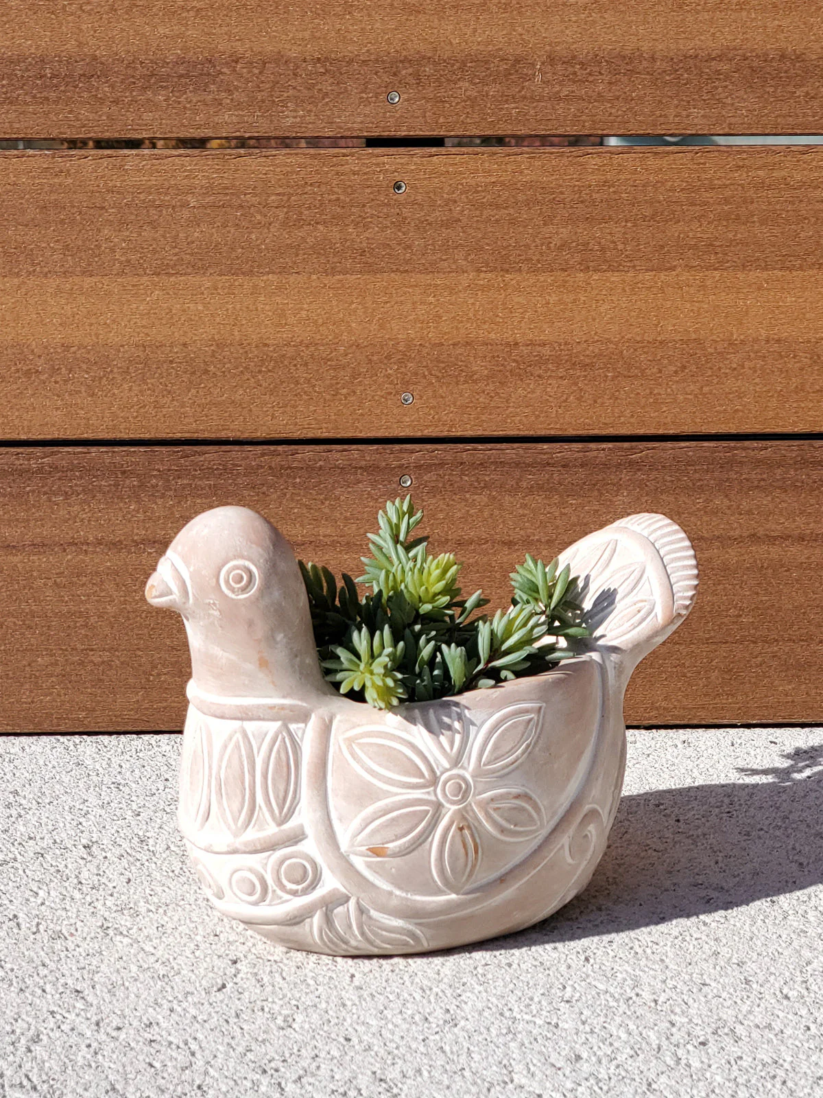 Terracotta Pot - Spotted Dove - Image 4