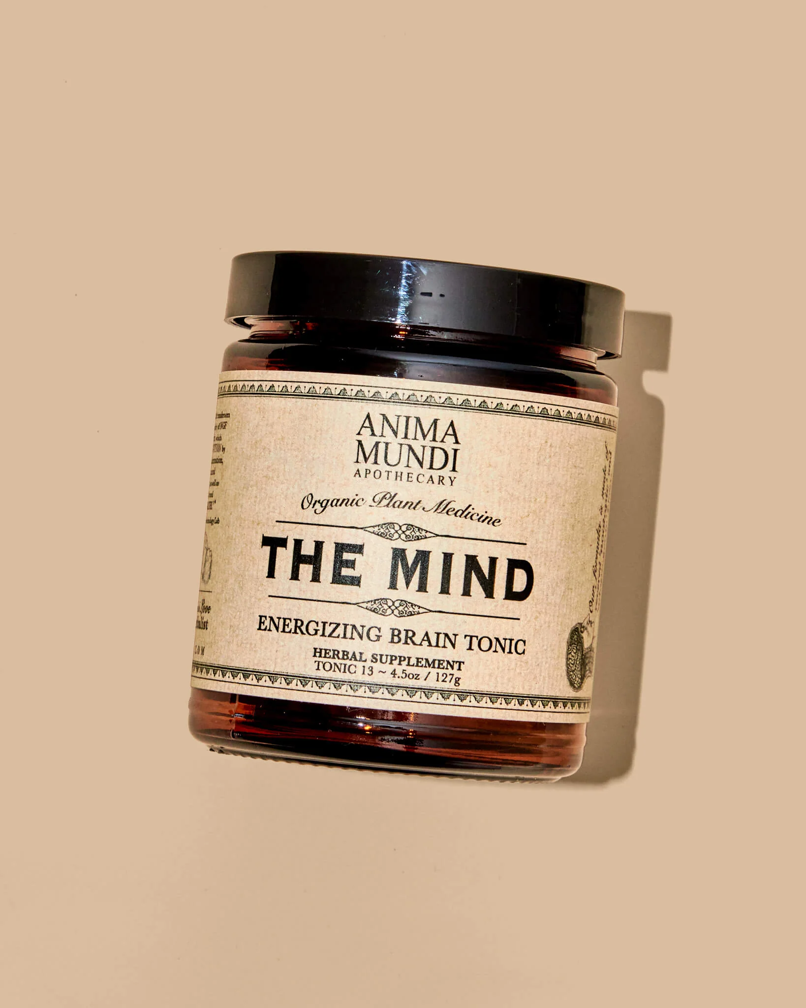 THE MIND | Cognition + Focus*