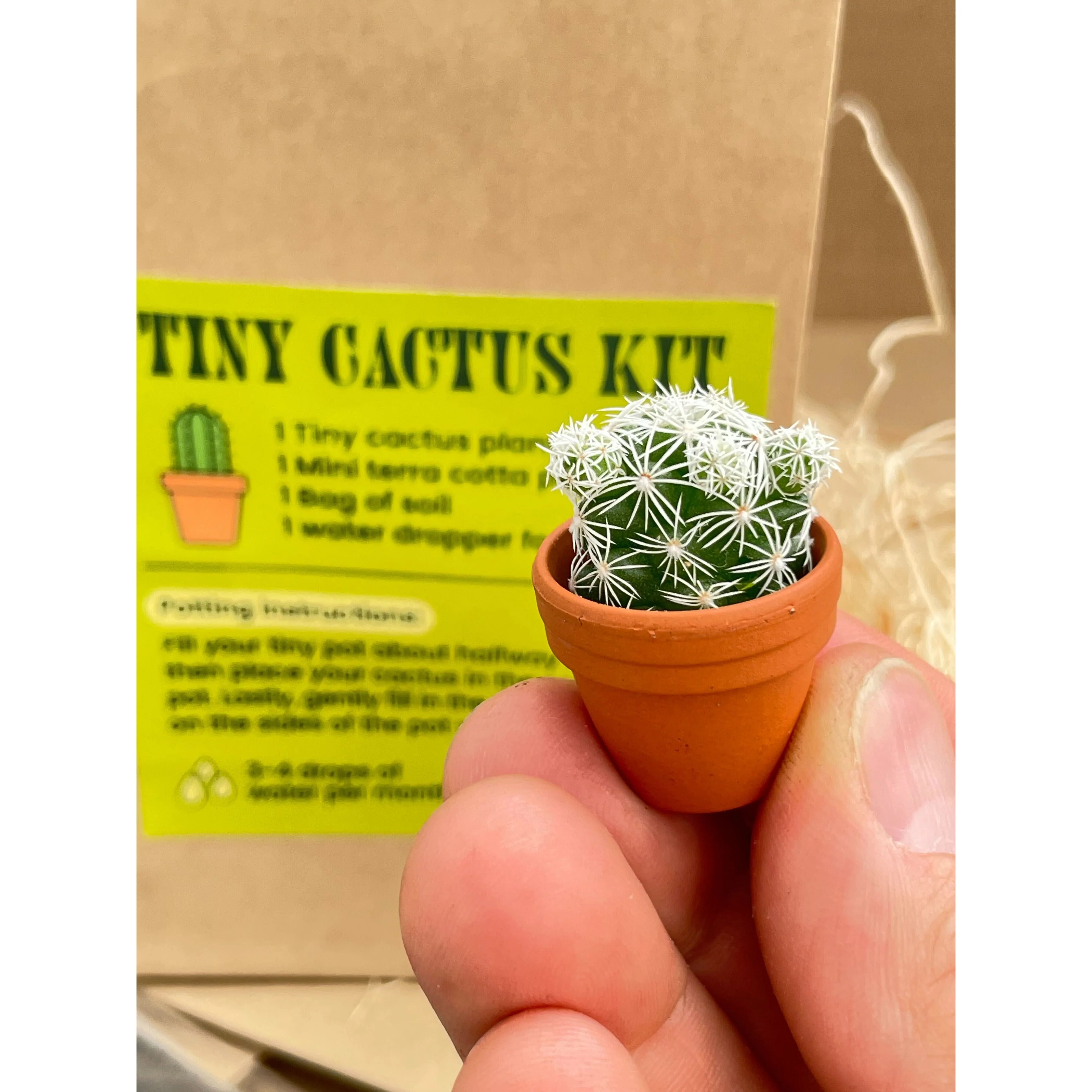 Tiny Cactus Kit - Image 2