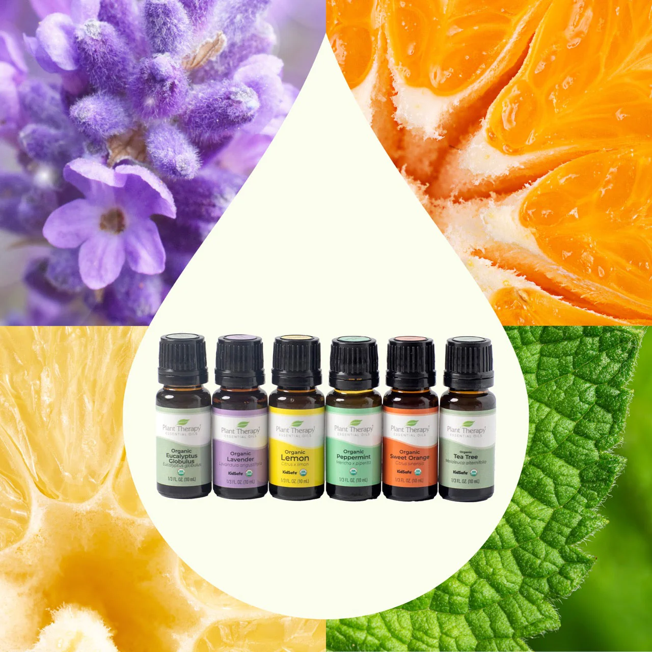 Top 6 Organic Singles Essential Oil Set - Image 4
