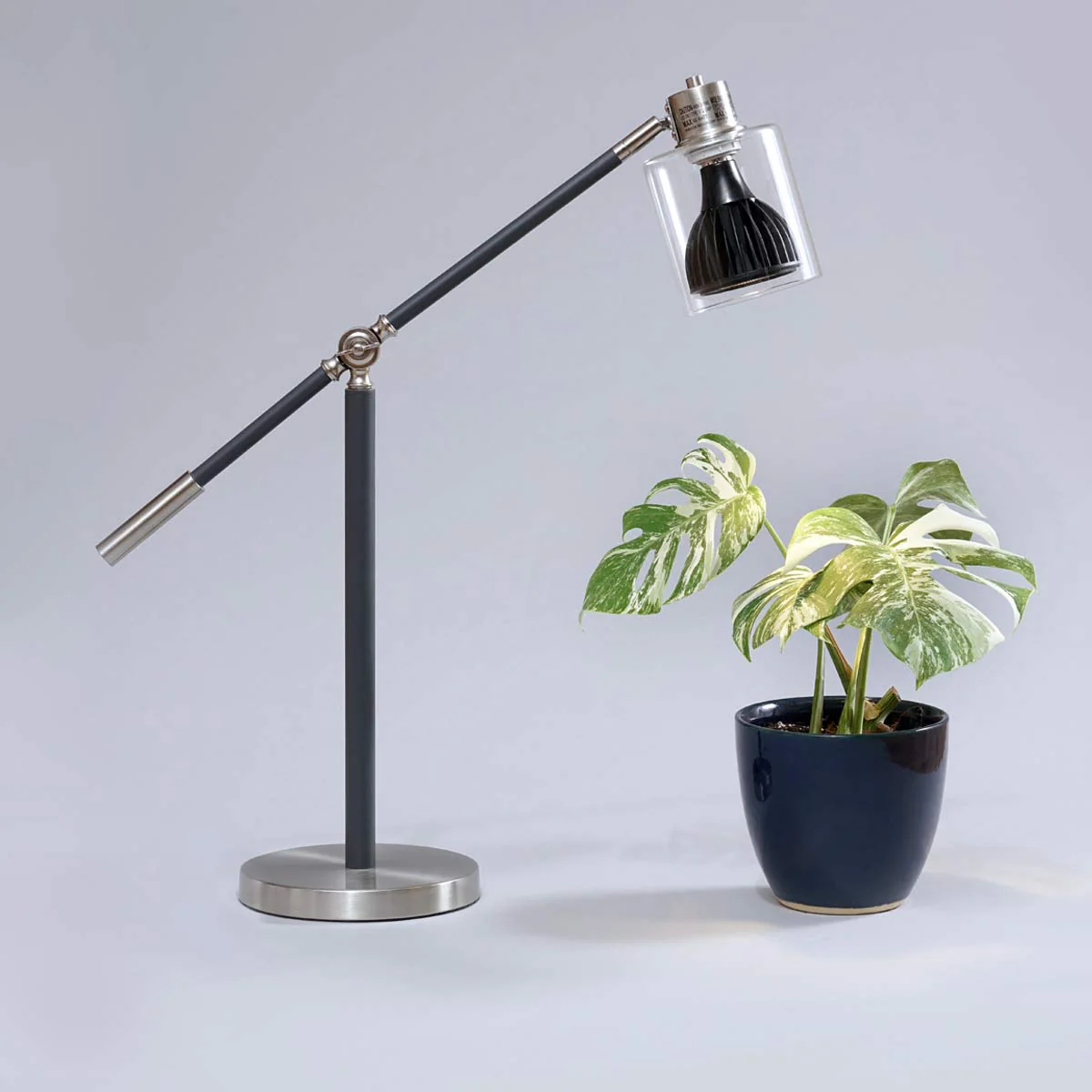 Vita™ Grow Light - Image 9